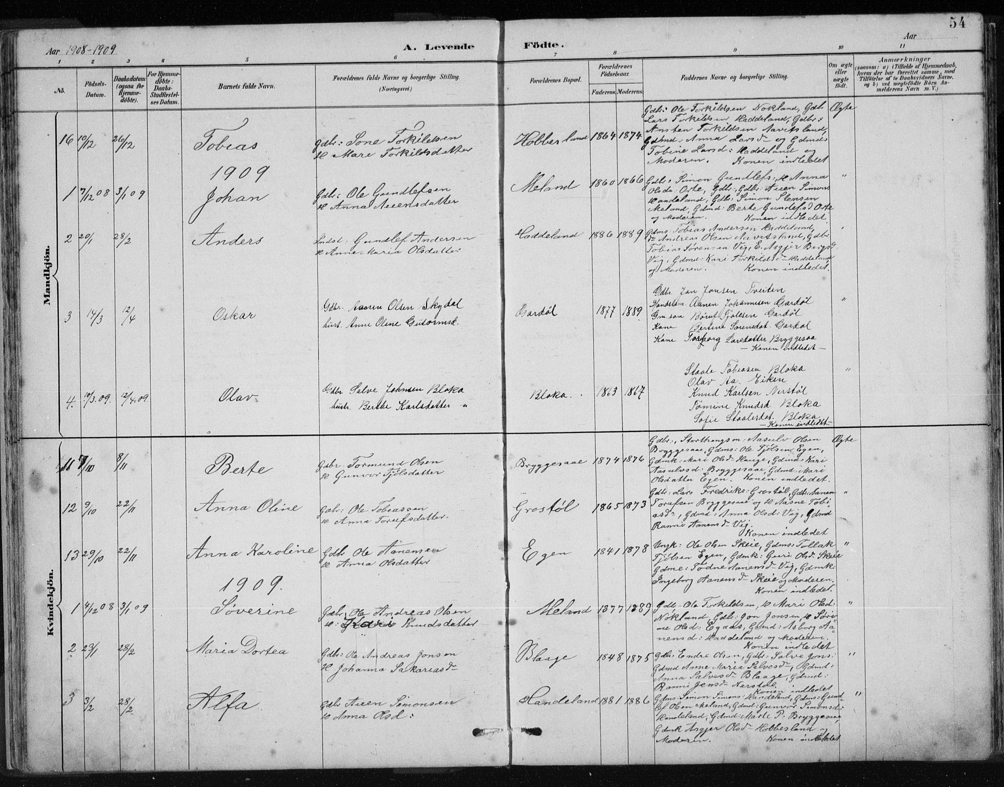 Hægebostad sokneprestkontor, AV/SAK-1111-0024/F/Fb/Fbb/L0003: Parish register (copy) no. B 3, 1887-1937, p. 54