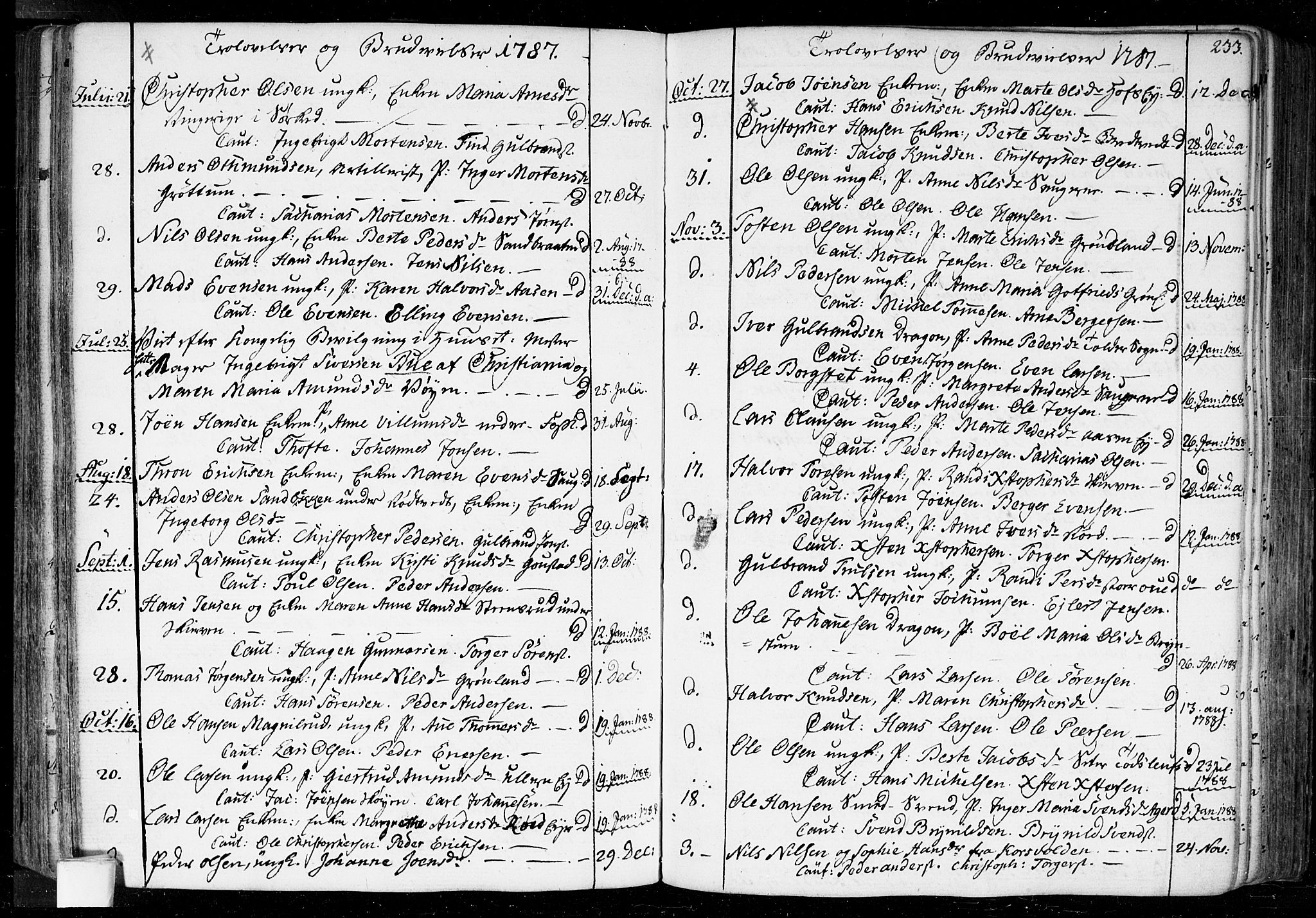 Aker prestekontor kirkebøker, SAO/A-10861/F/L0010: Parish register (official) no. 10, 1786-1809, p. 233