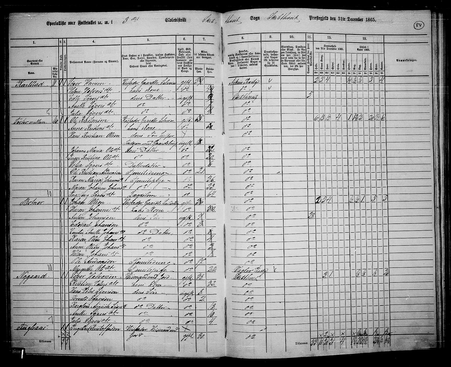 RA, 1865 census for Skiptvet, 1865, p. 75