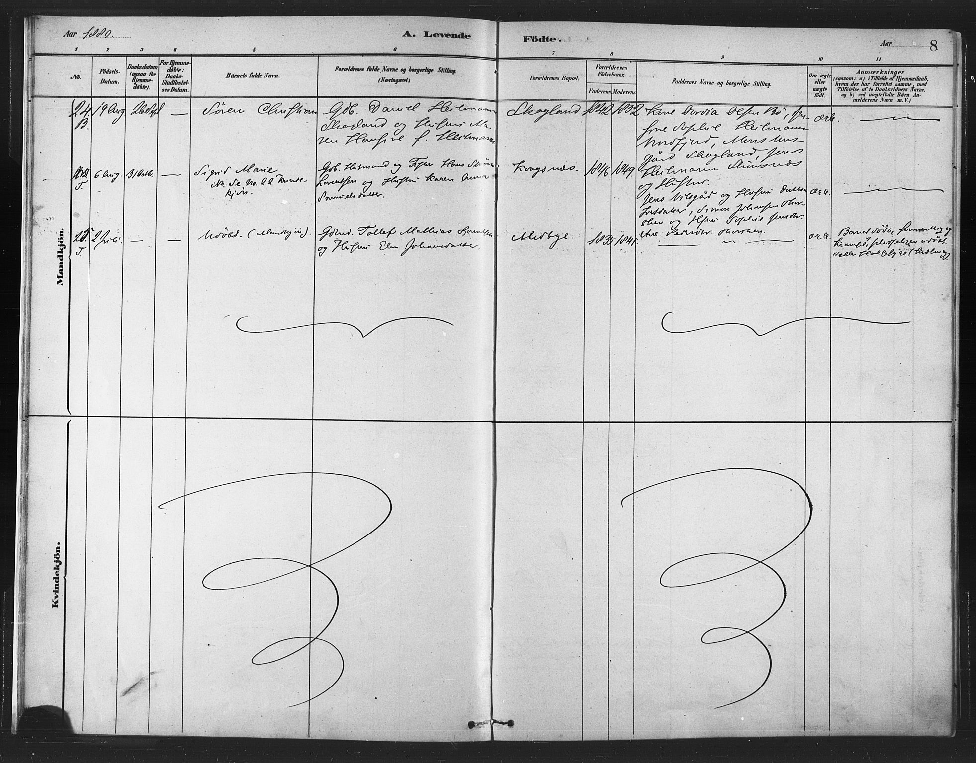 Berg sokneprestkontor, AV/SATØ-S-1318/G/Ga/Gaa/L0004kirke: Parish register (official) no. 4, 1880-1894, p. 8