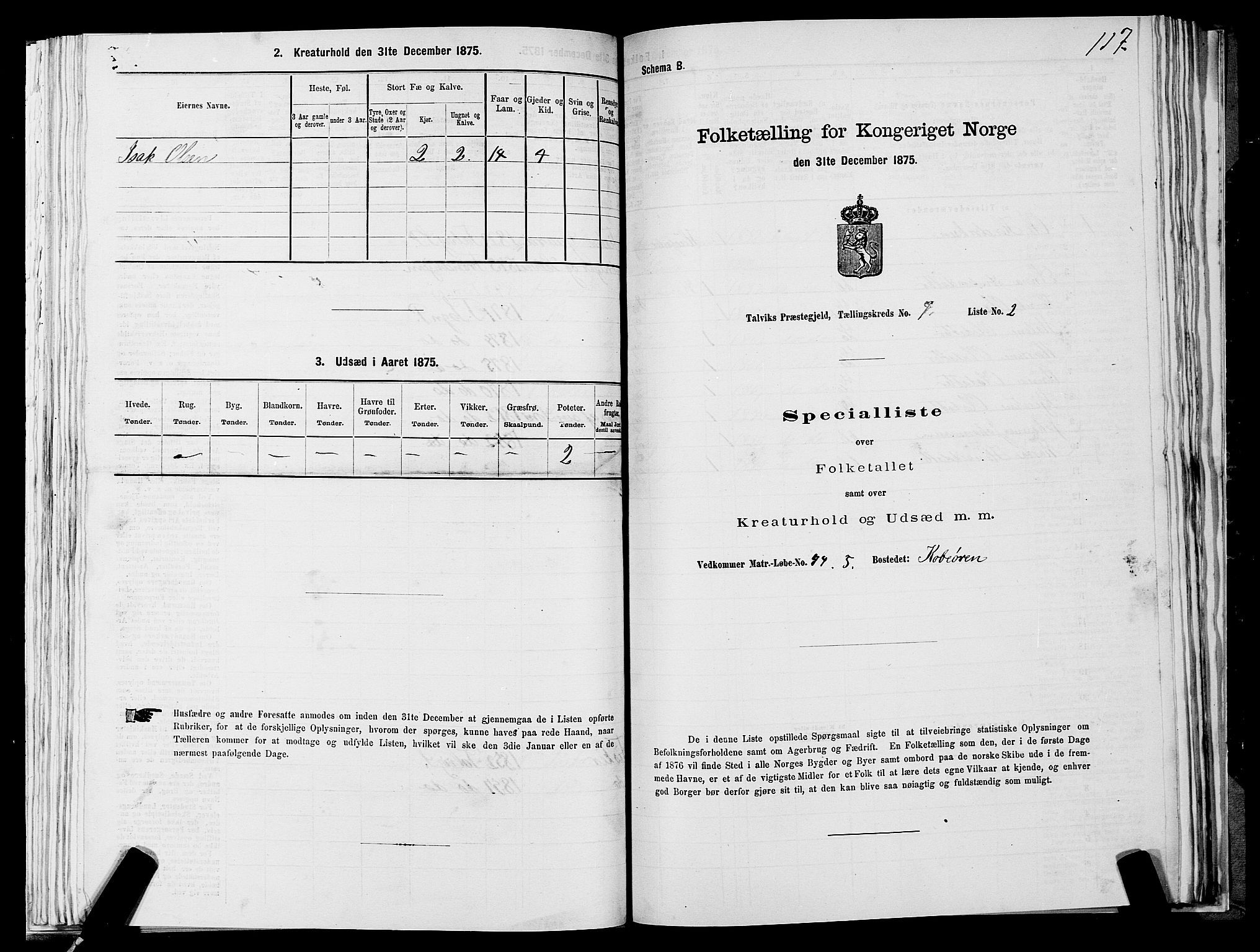 SATØ, 1875 census for 2013P Talvik, 1875, p. 3117