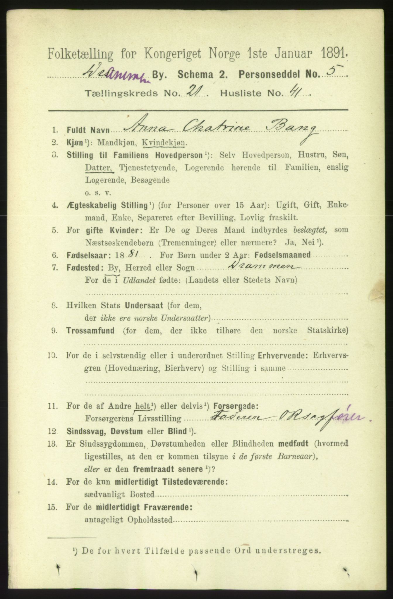 RA, 1891 census for 0602 Drammen, 1891, p. 13532