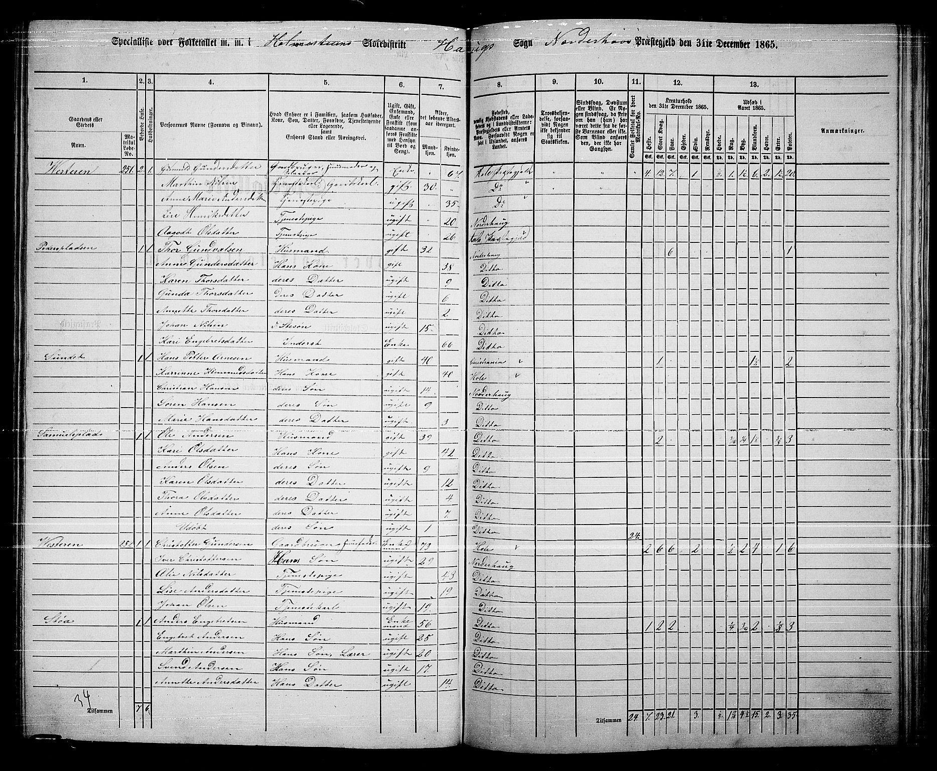 RA, 1865 census for Norderhov/Norderhov, Haug og Lunder, 1865, p. 210