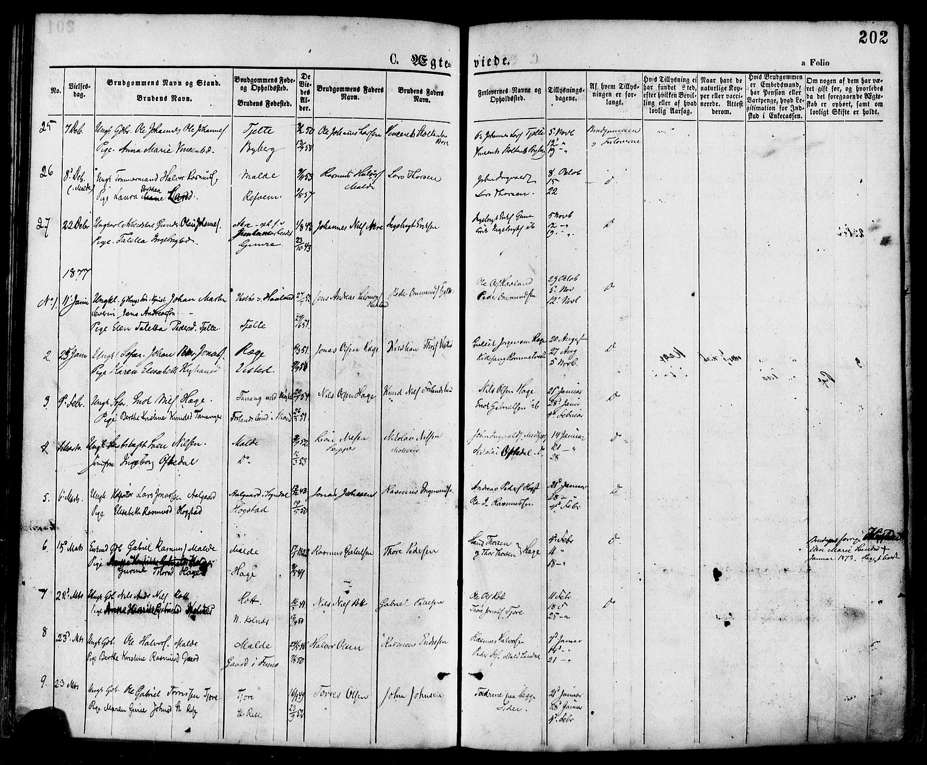 Håland sokneprestkontor, AV/SAST-A-101802/001/30BA/L0009: Parish register (official) no. A 8, 1871-1882, p. 202