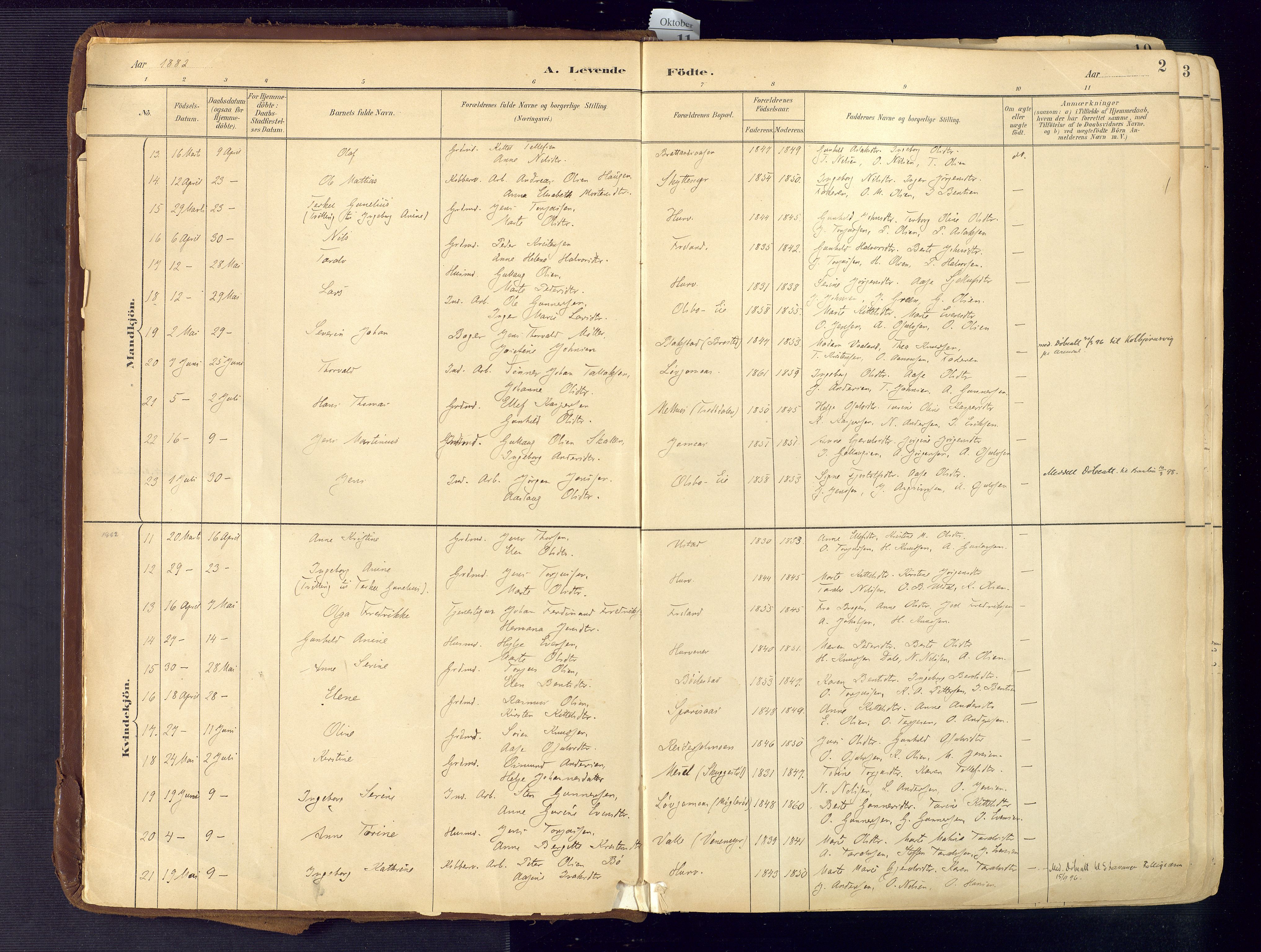 Froland sokneprestkontor, SAK/1111-0013/F/Fa/L0005: Parish register (official) no. A 5, 1882-1921, p. 2