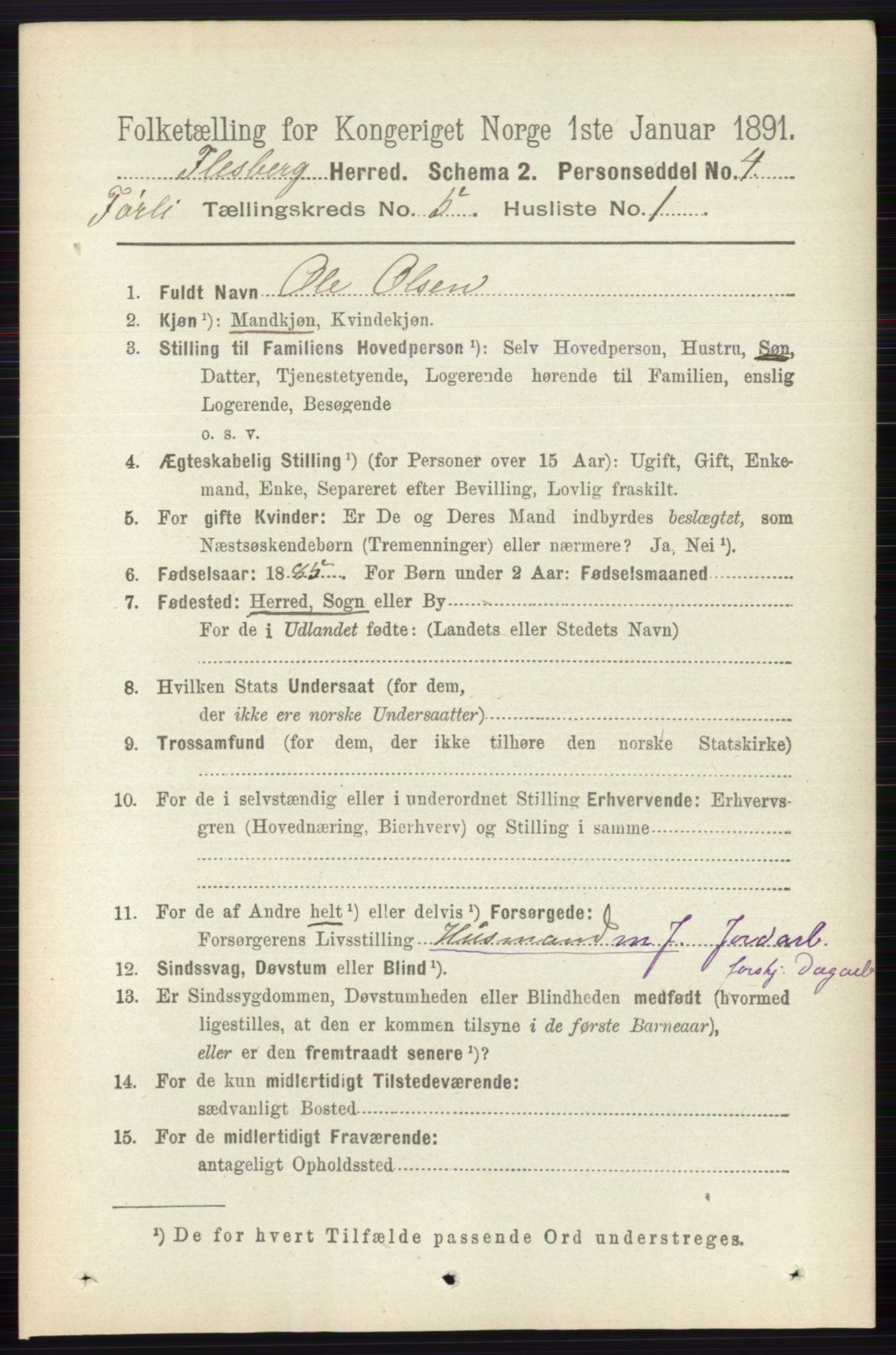 RA, 1891 census for 0631 Flesberg, 1891, p. 725