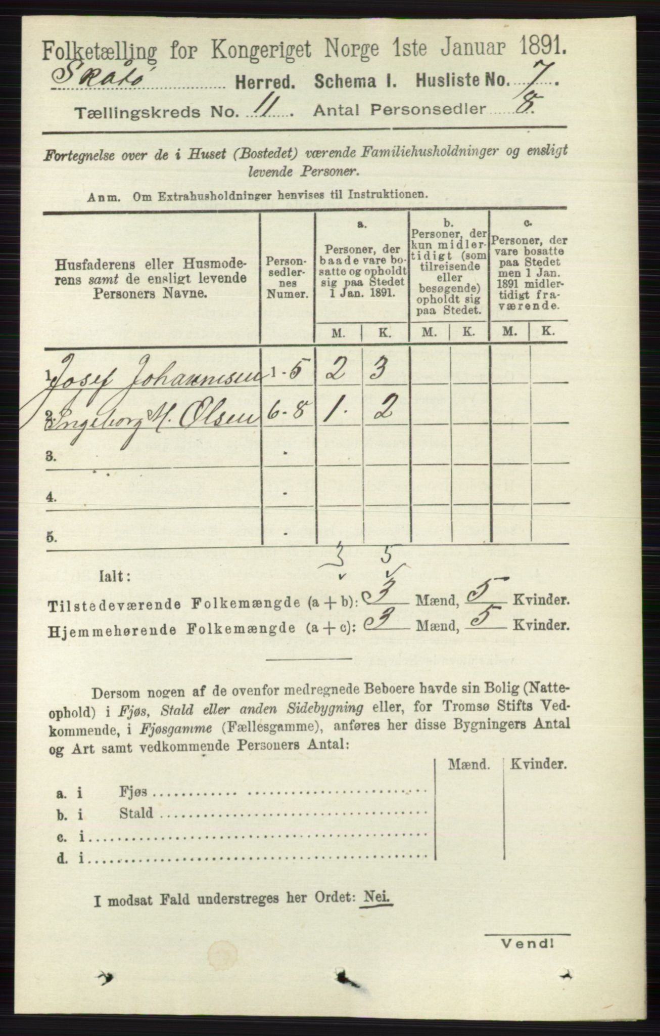 RA, 1891 census for 0815 Skåtøy, 1891, p. 4223