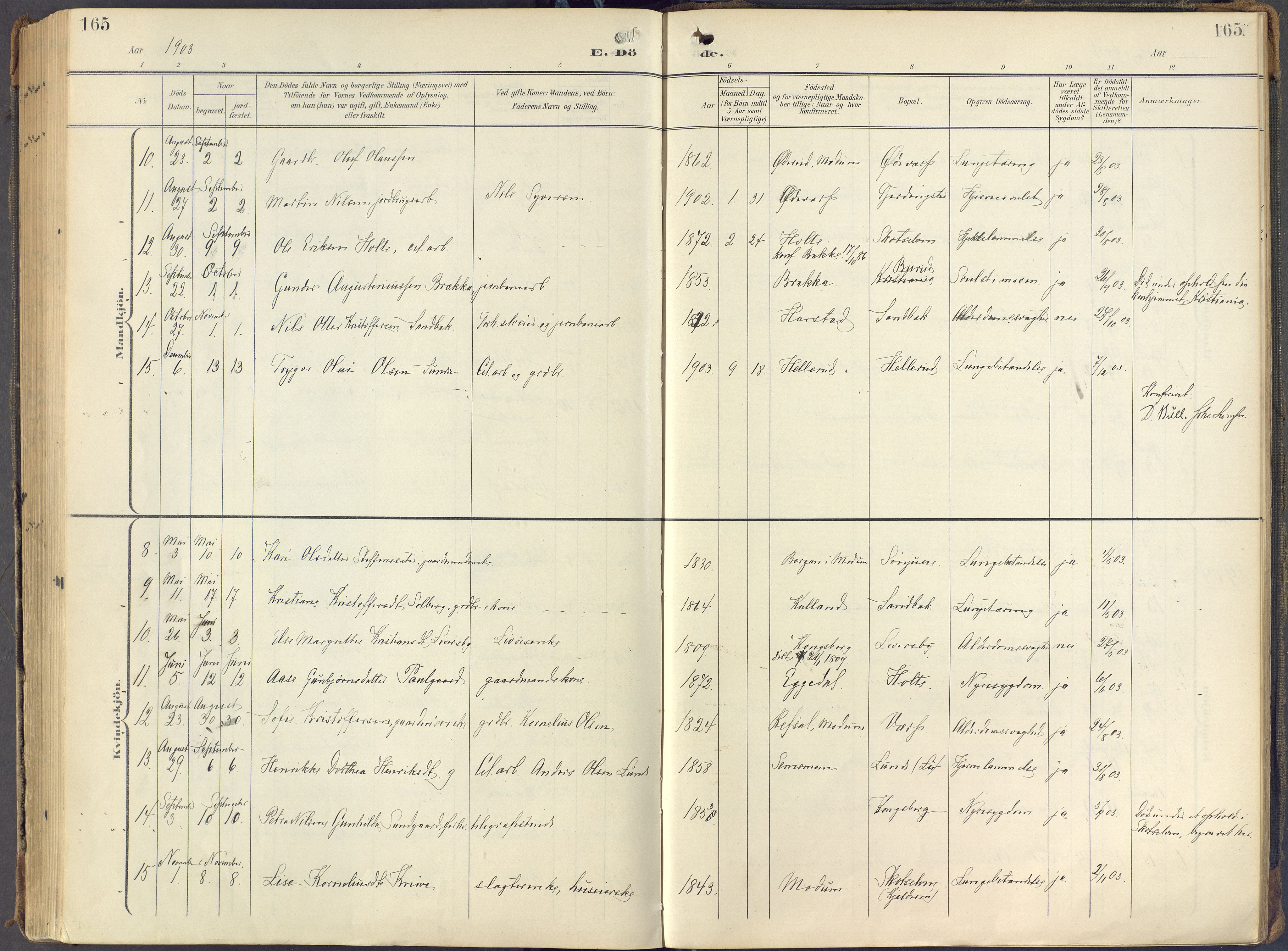 Eiker kirkebøker, AV/SAKO-A-4/F/Fc/L0004: Parish register (official) no. III 4, 1900-1919, p. 165