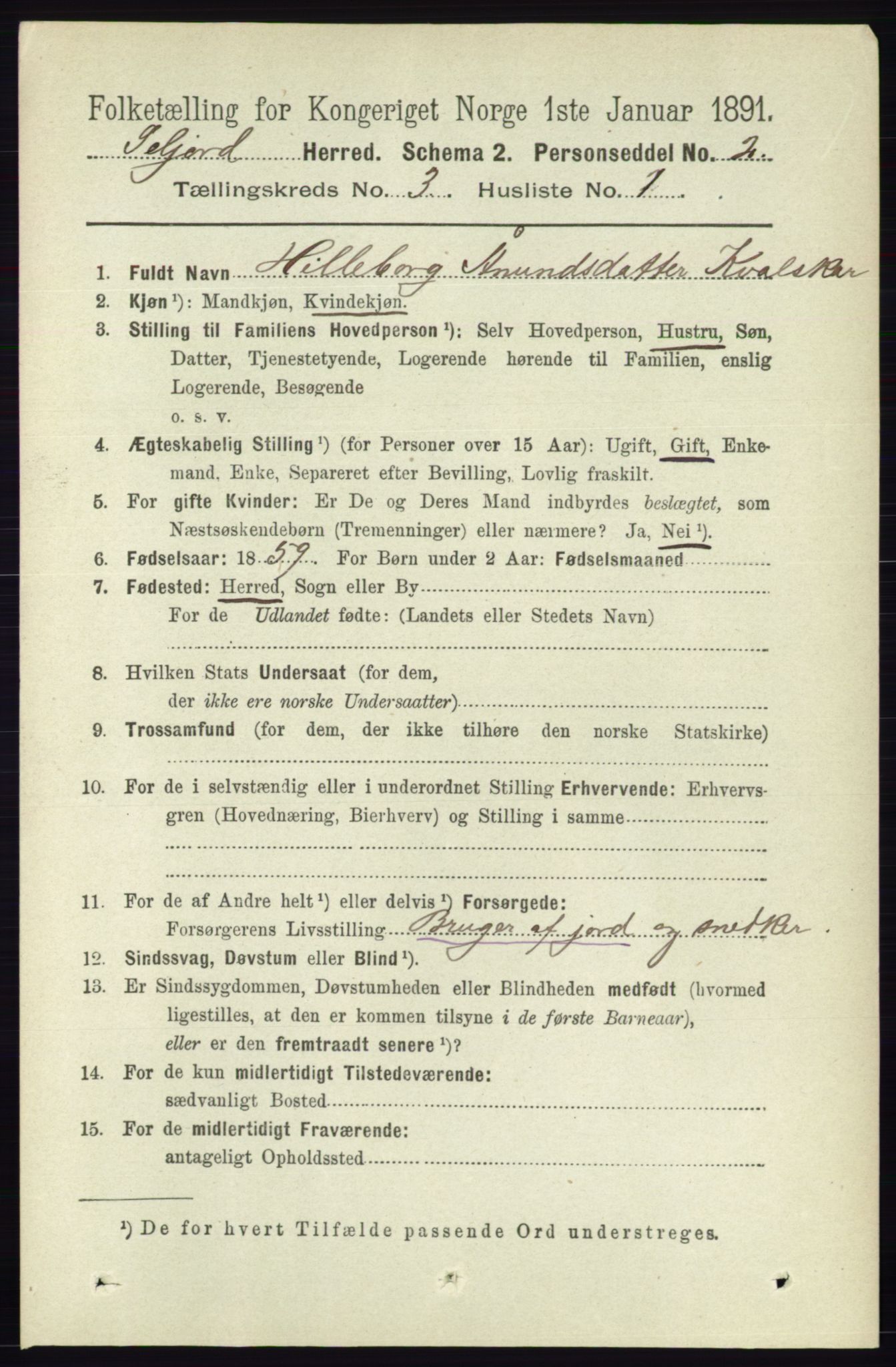 RA, 1891 census for 0828 Seljord, 1891, p. 983