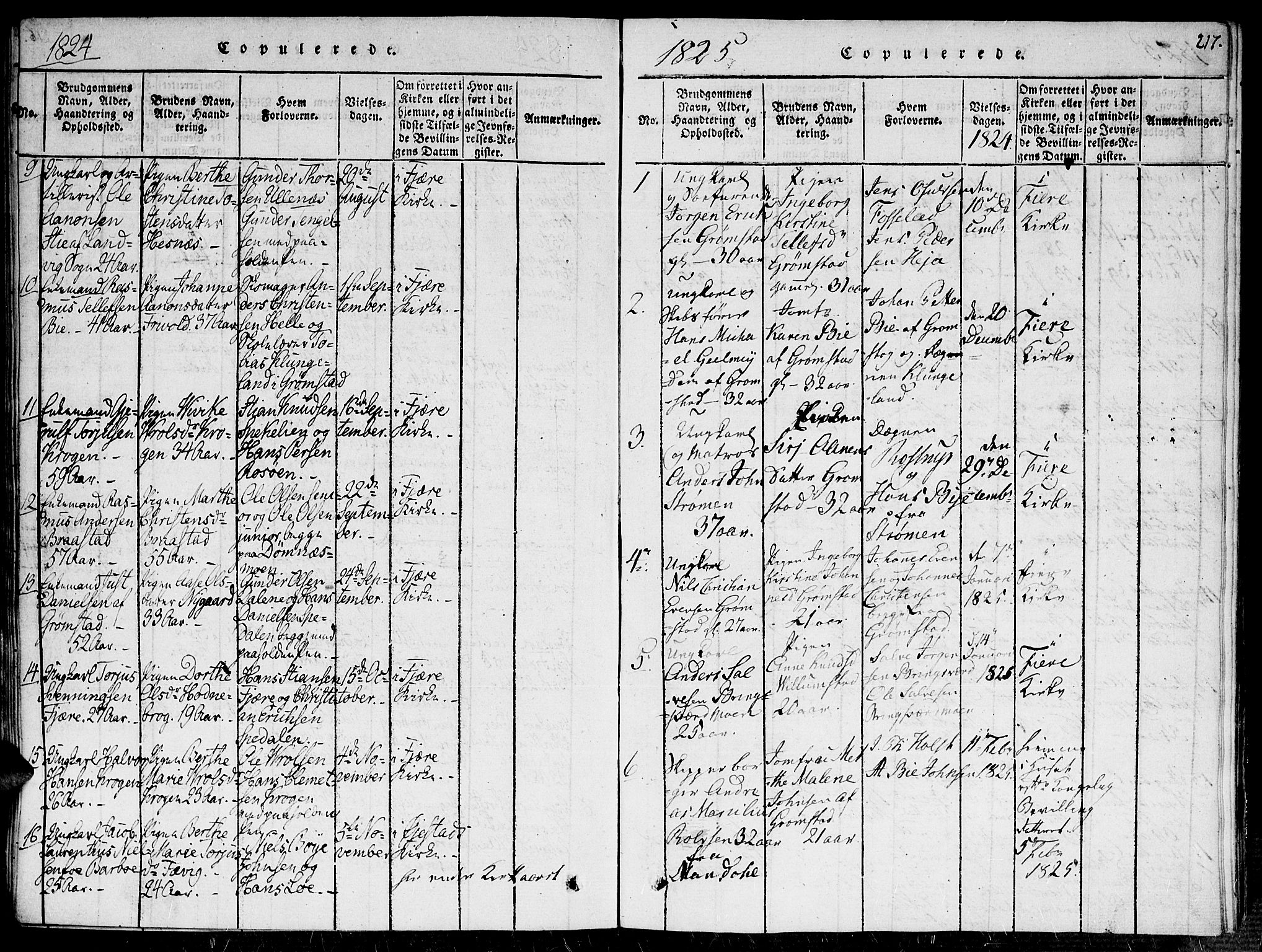 Fjære sokneprestkontor, AV/SAK-1111-0011/F/Fa/L0001: Parish register (official) no. A 1 /1, 1816-1826, p. 217