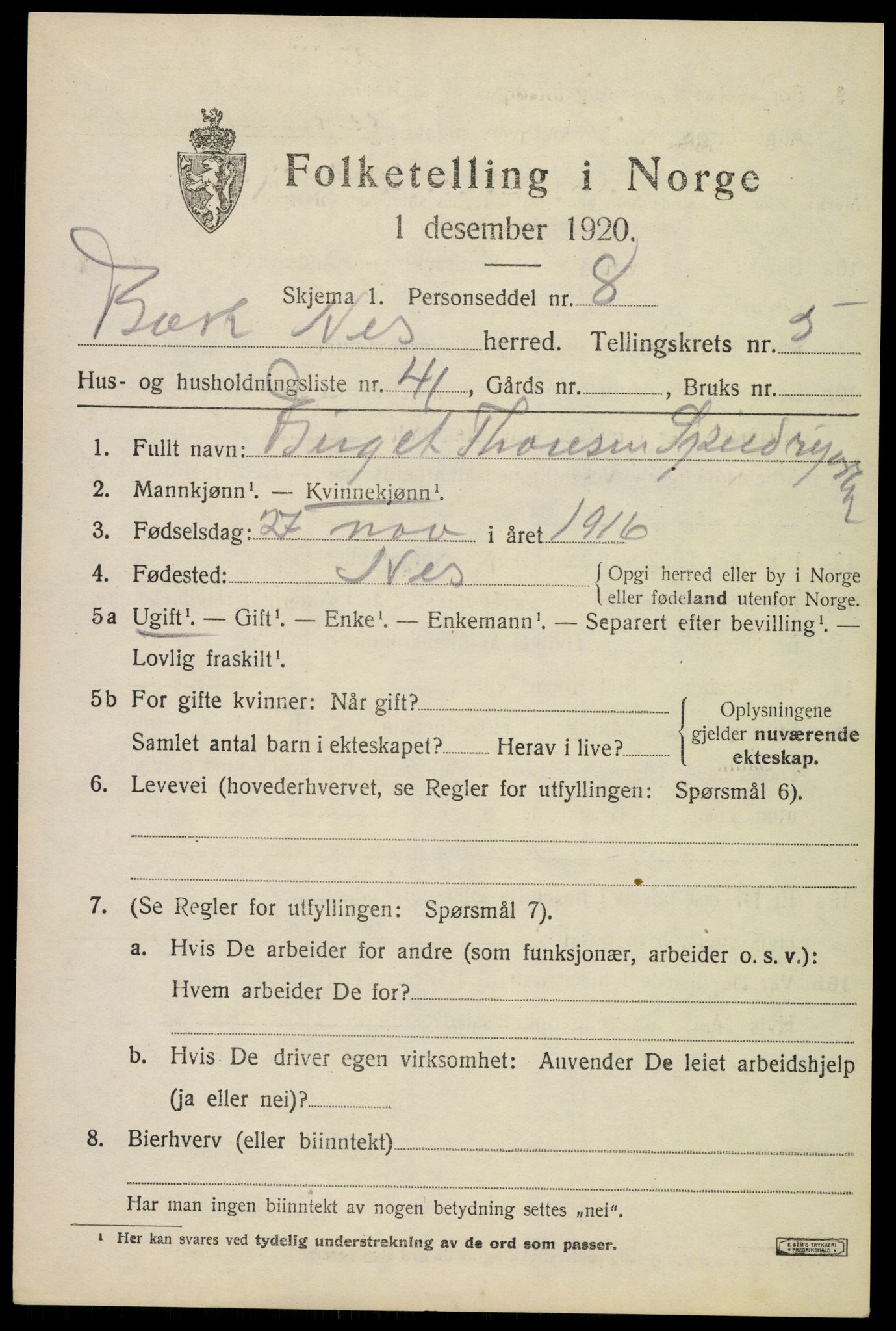 SAKO, 1920 census for Nes (Buskerud), 1920, p. 2872