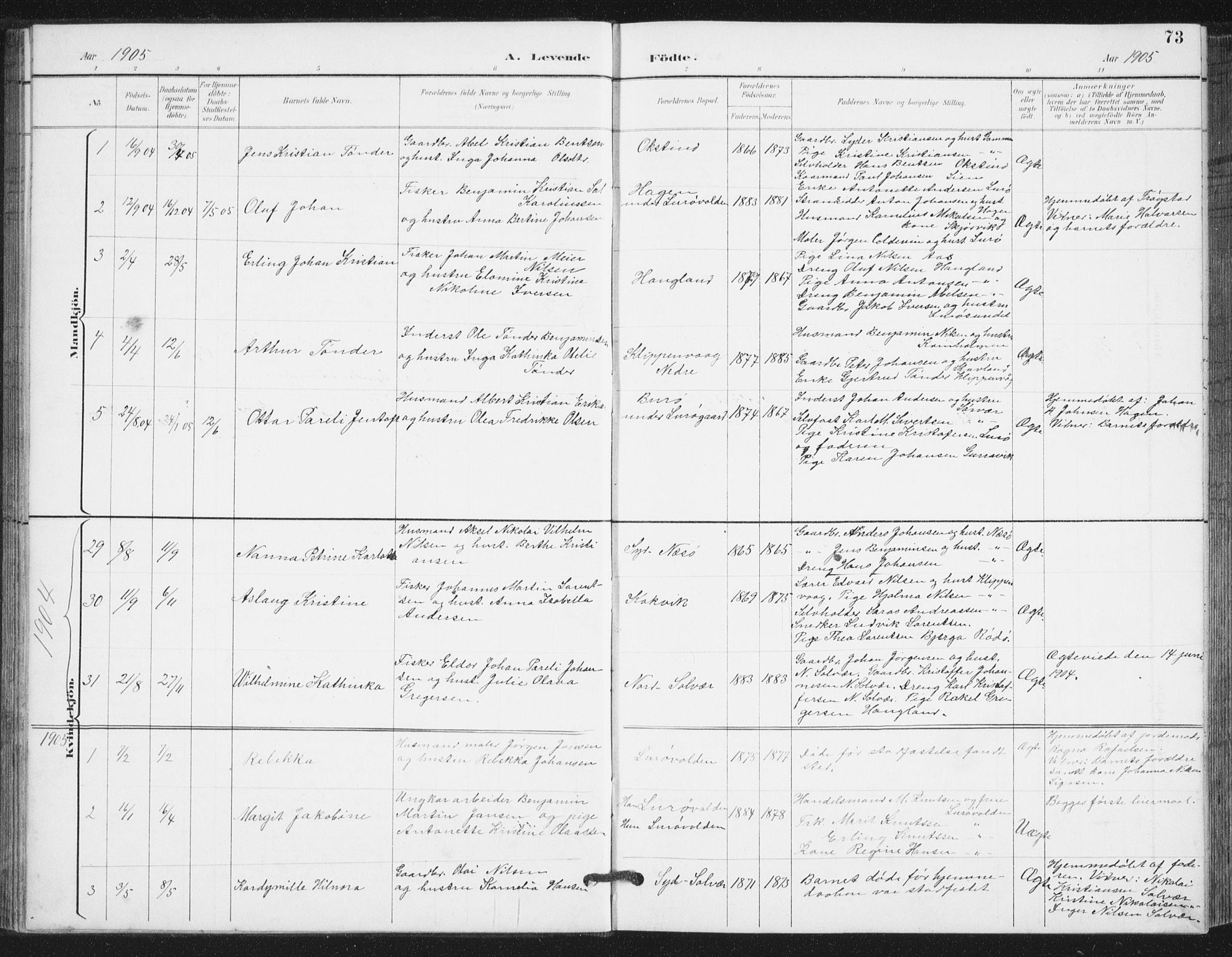 Ministerialprotokoller, klokkerbøker og fødselsregistre - Nordland, SAT/A-1459/839/L0573: Parish register (copy) no. 839C03, 1892-1917, p. 73