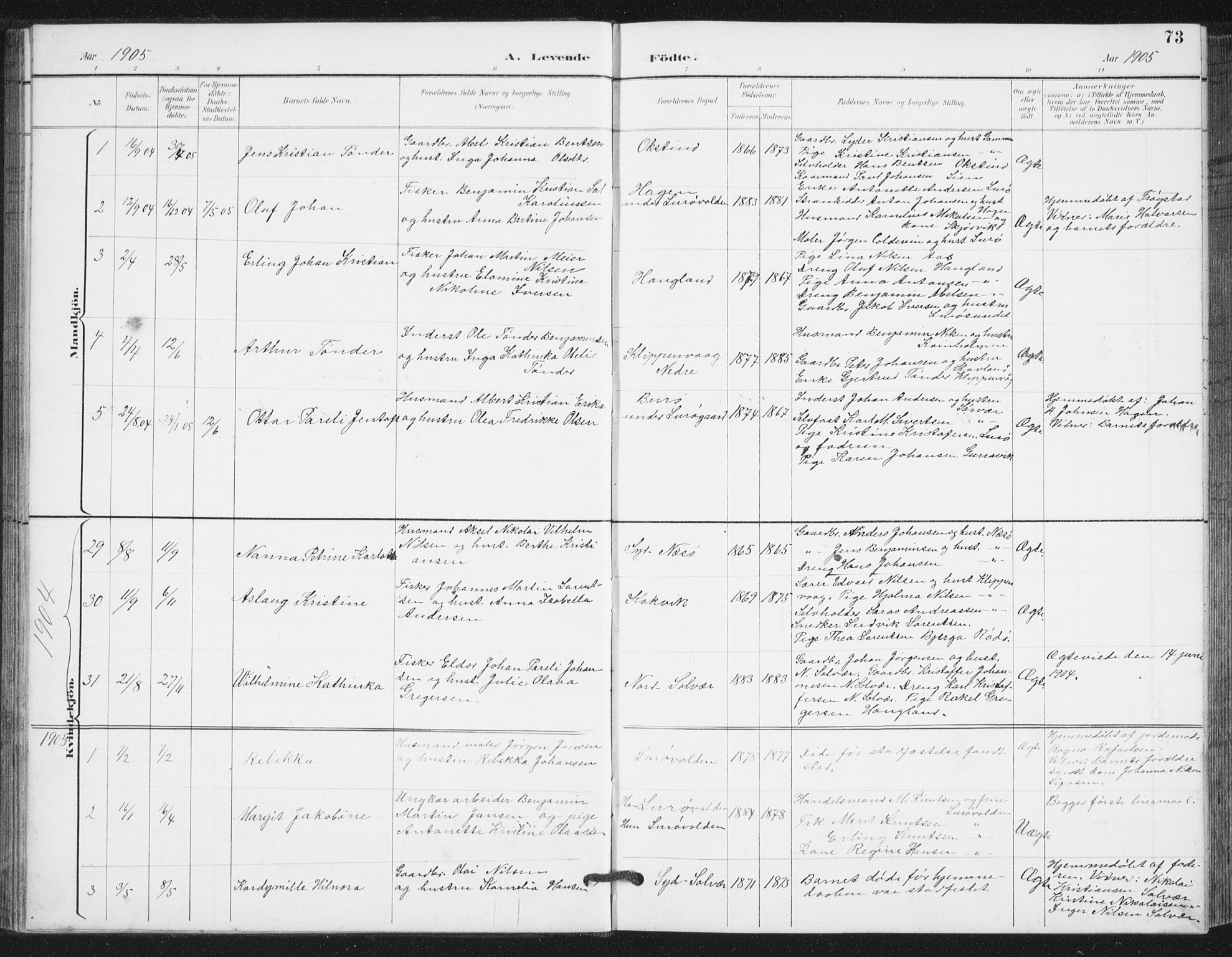 Ministerialprotokoller, klokkerbøker og fødselsregistre - Nordland, AV/SAT-A-1459/839/L0573: Parish register (copy) no. 839C03, 1892-1917, p. 73