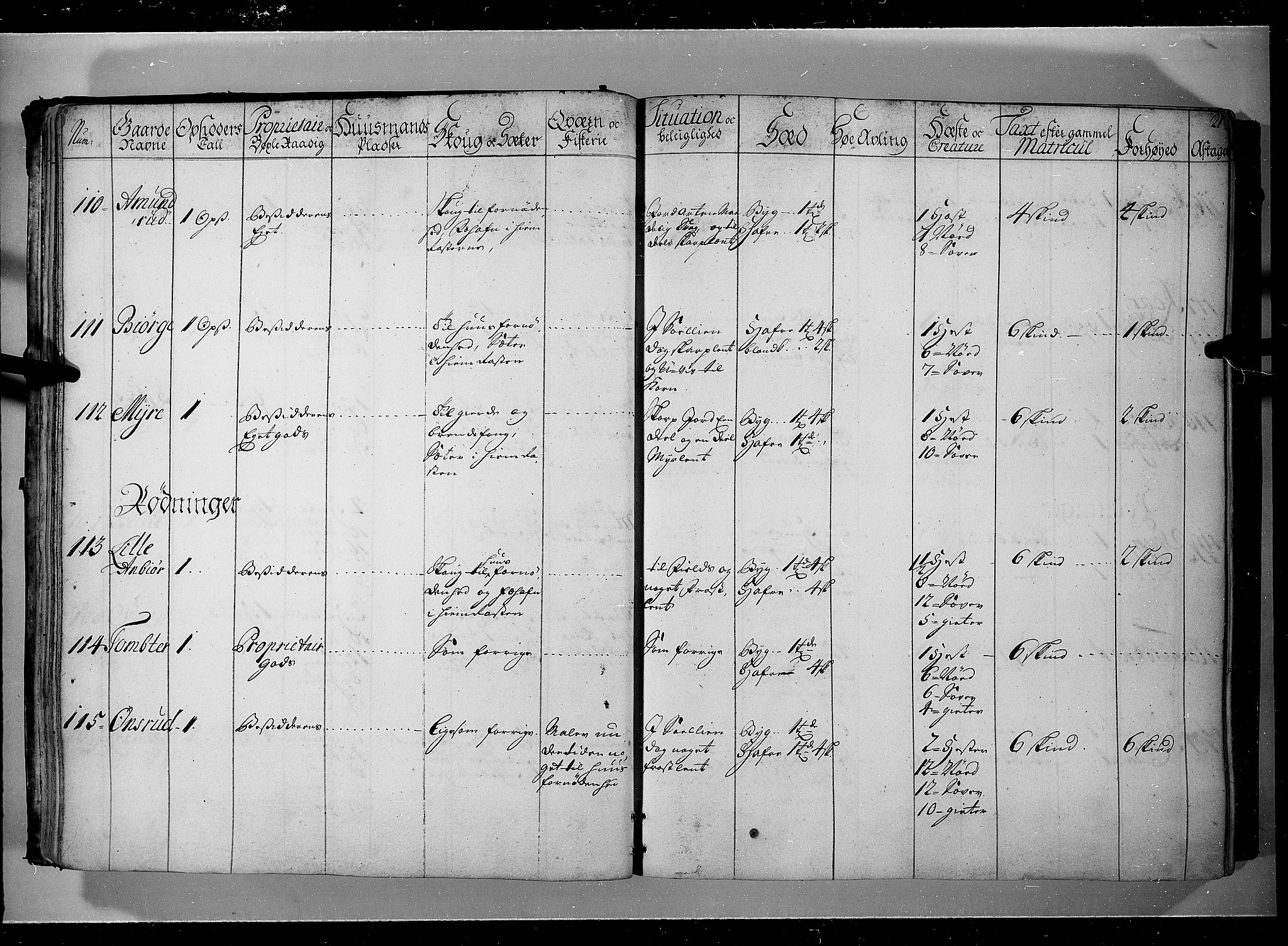 Rentekammeret inntil 1814, Realistisk ordnet avdeling, AV/RA-EA-4070/N/Nb/Nbf/L0104: Hadeland, Toten og Valdres eksaminasjonsprotokoll, 1723, p. 20b-21a