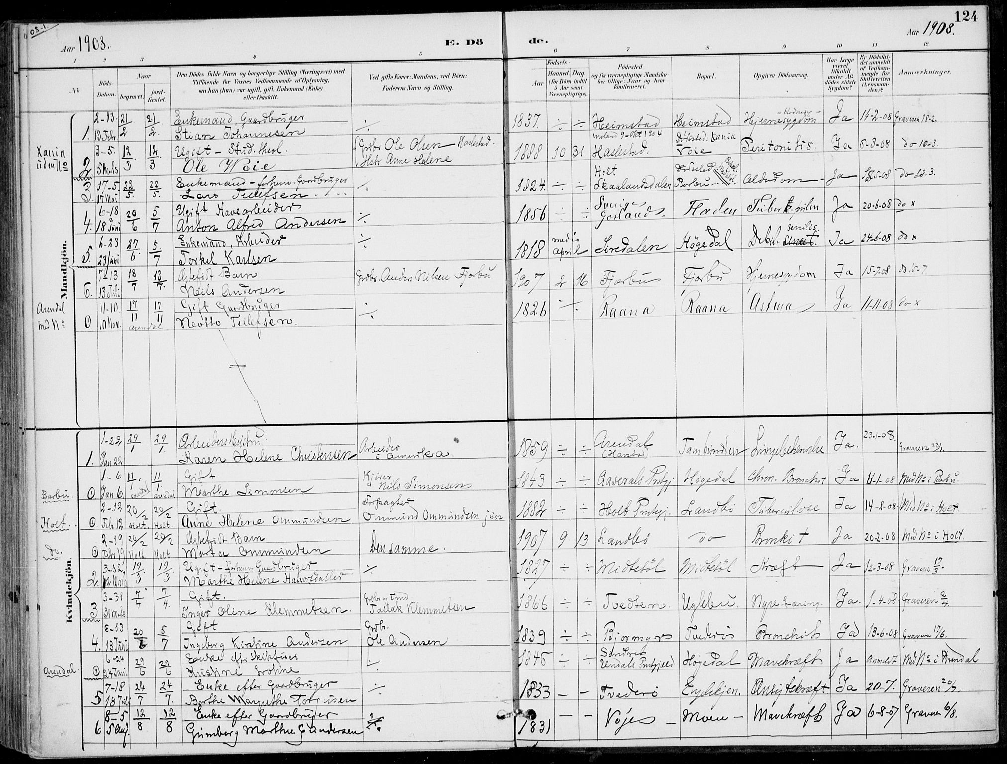 Austre Moland sokneprestkontor, SAK/1111-0001/F/Fa/Faa/L0011: Parish register (official) no. A 11, 1894-1915, p. 124