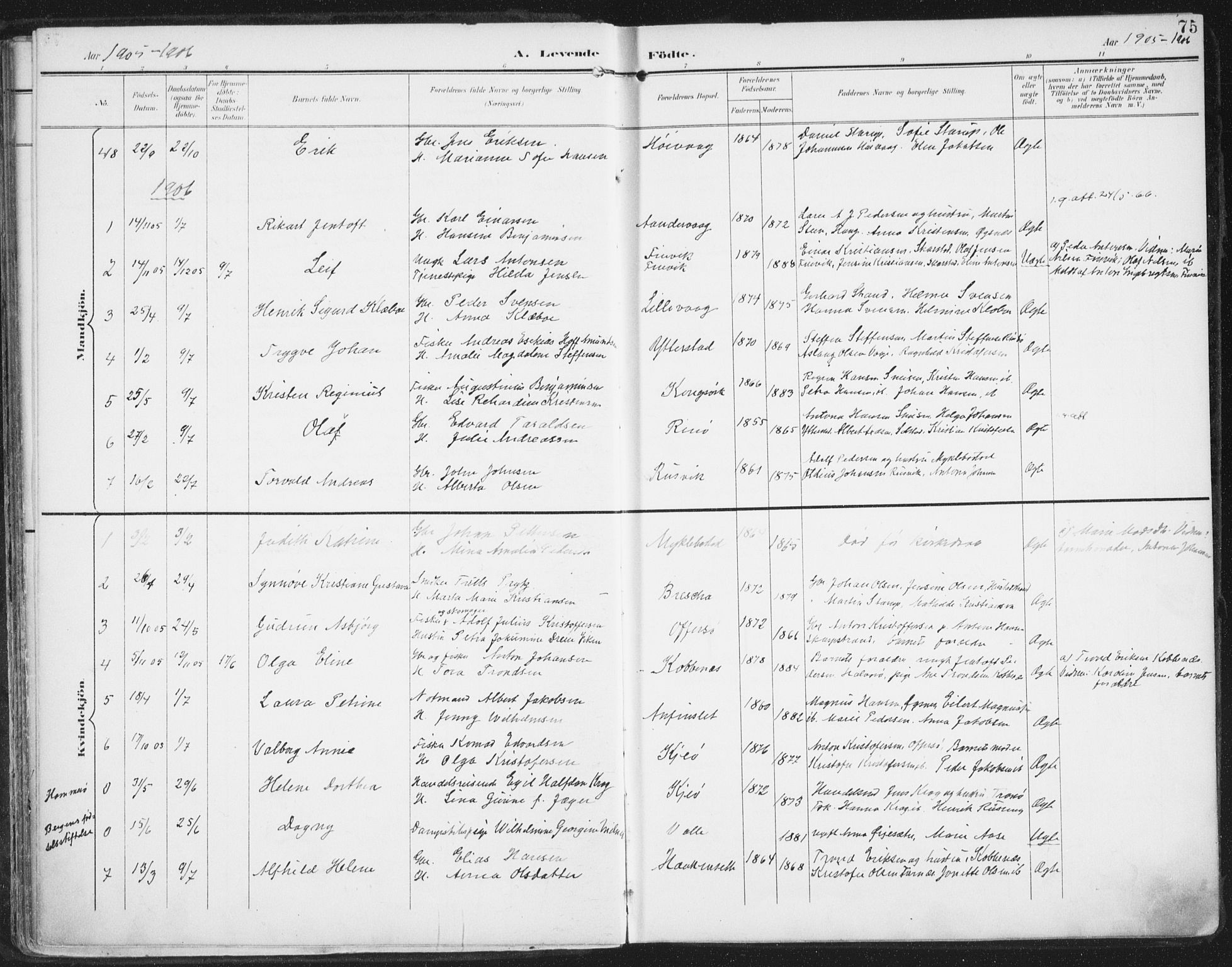 Ministerialprotokoller, klokkerbøker og fødselsregistre - Nordland, AV/SAT-A-1459/872/L1036: Parish register (official) no. 872A11, 1897-1913, p. 75