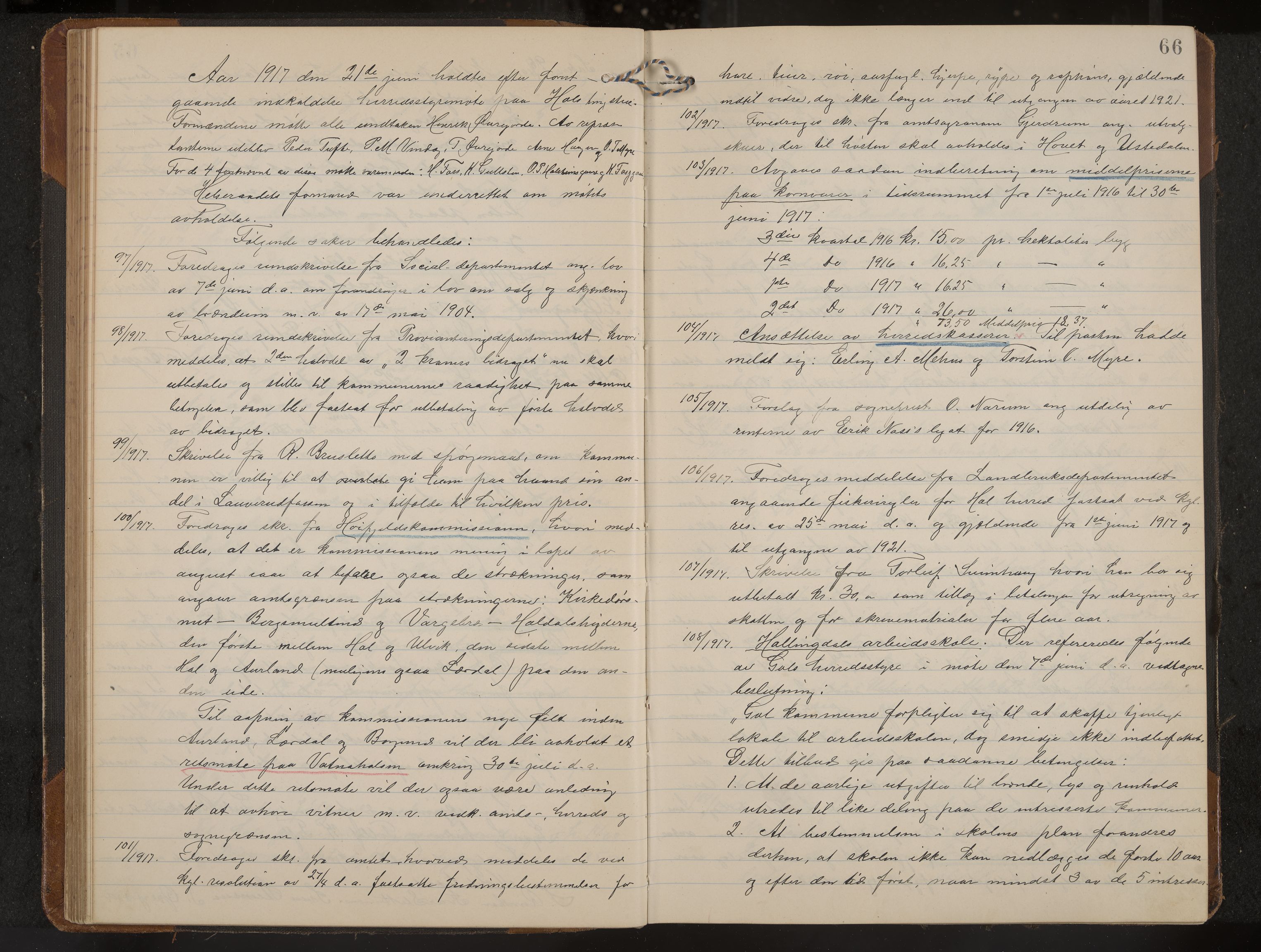 Hol formannskap og sentraladministrasjon, IKAK/0620021-1/A/L0006: Møtebok, 1916-1922, p. 66