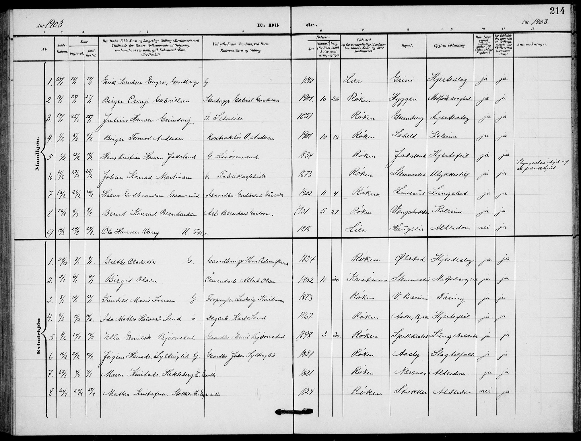 Røyken kirkebøker, AV/SAKO-A-241/G/Ga/L0005: Parish register (copy) no. 5, 1903-1918, p. 214