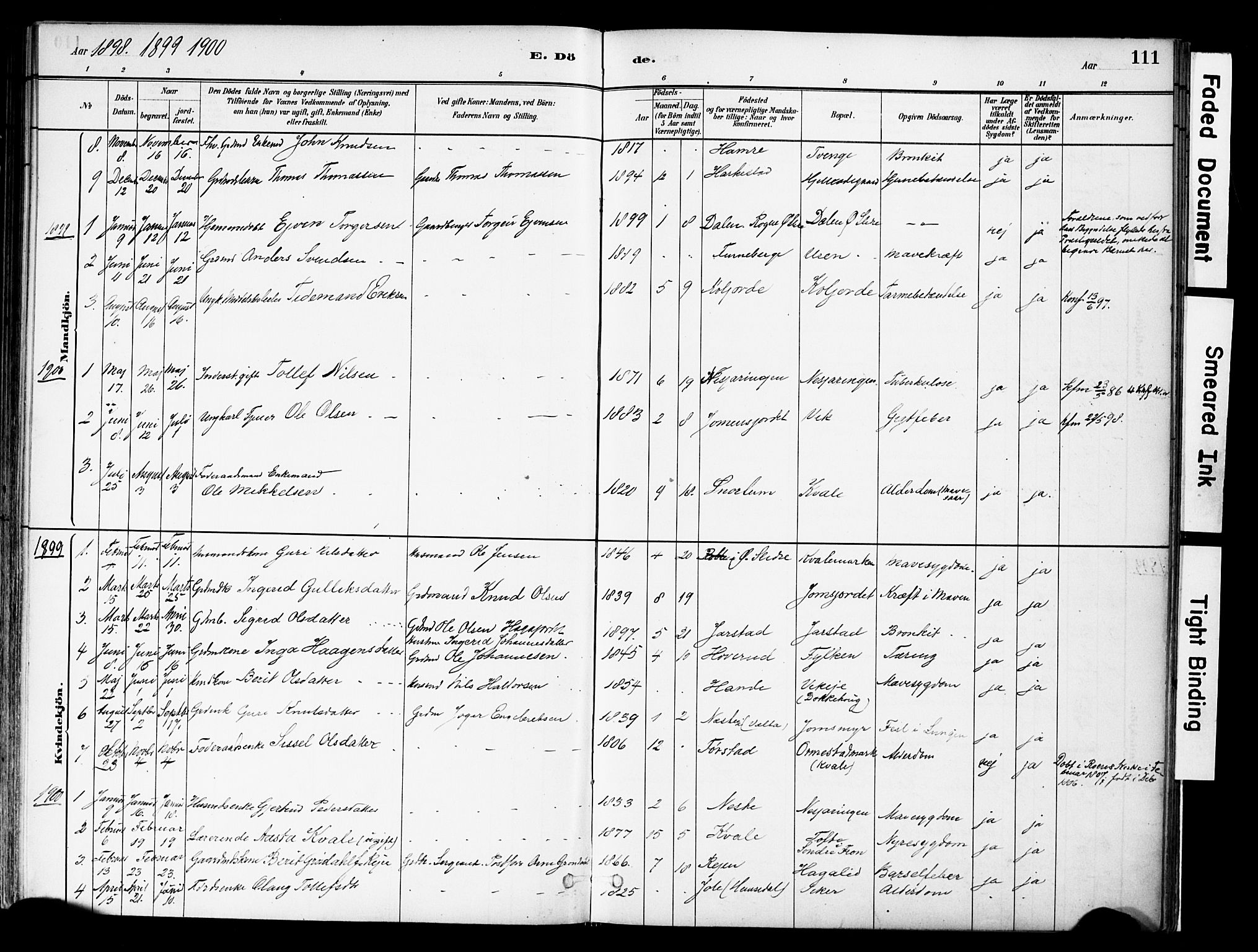 Vestre Slidre prestekontor, SAH/PREST-136/H/Ha/Haa/L0004: Parish register (official) no. 4, 1881-1911, p. 111