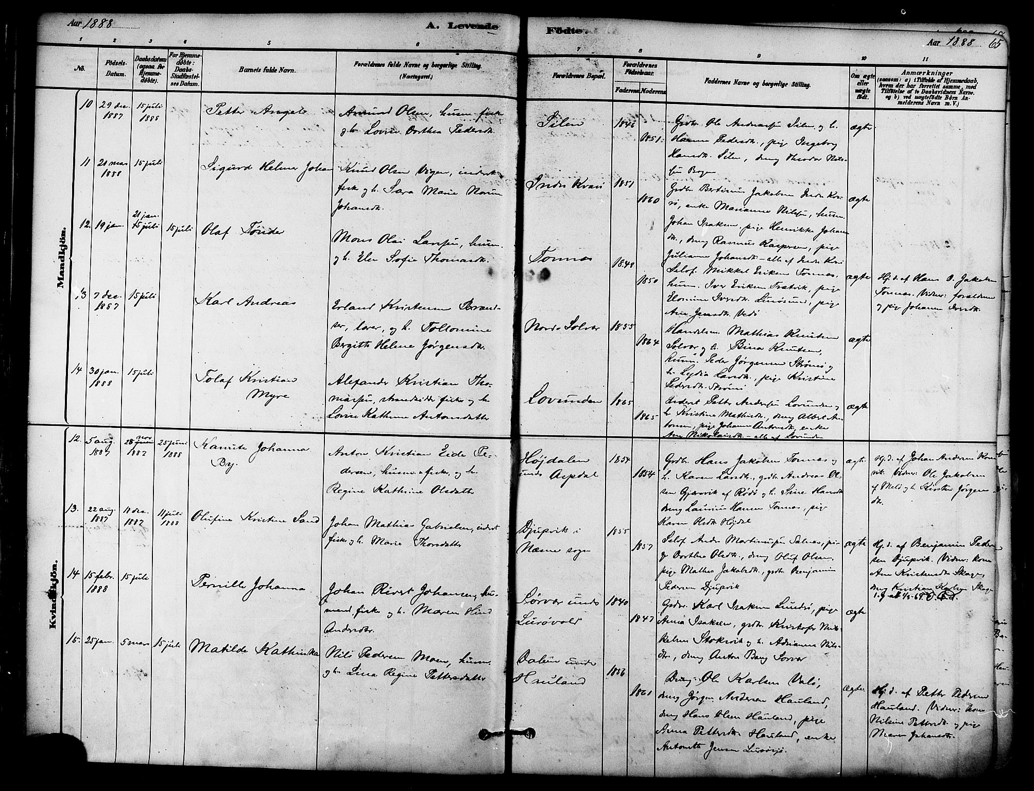 Ministerialprotokoller, klokkerbøker og fødselsregistre - Nordland, AV/SAT-A-1459/839/L0568: Parish register (official) no. 839A05, 1880-1902, p. 65