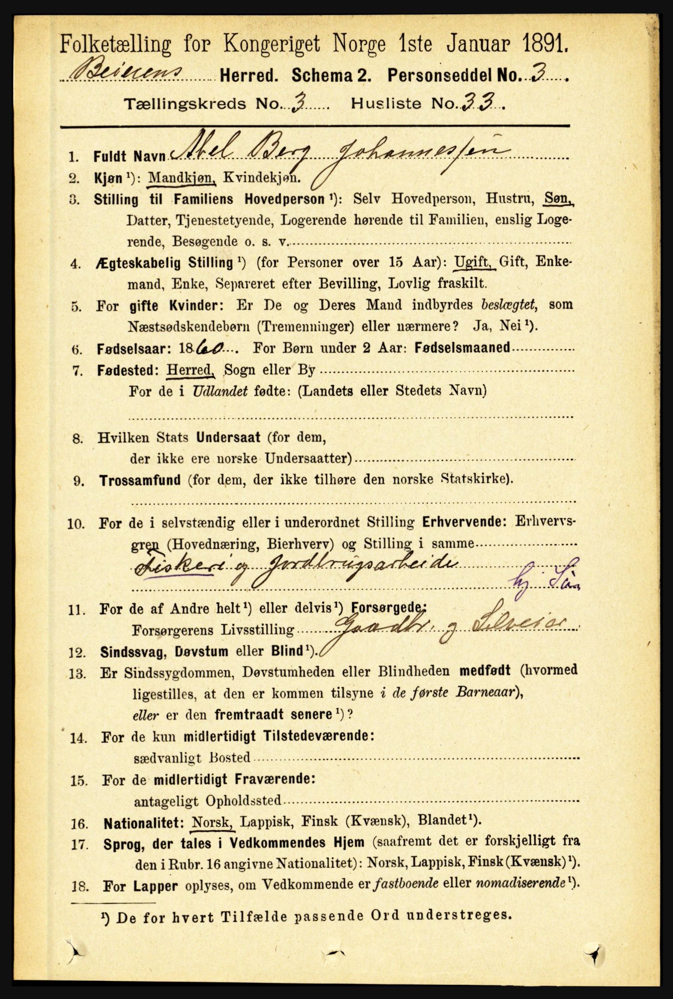 RA, 1891 census for 1839 Beiarn, 1891, p. 1205