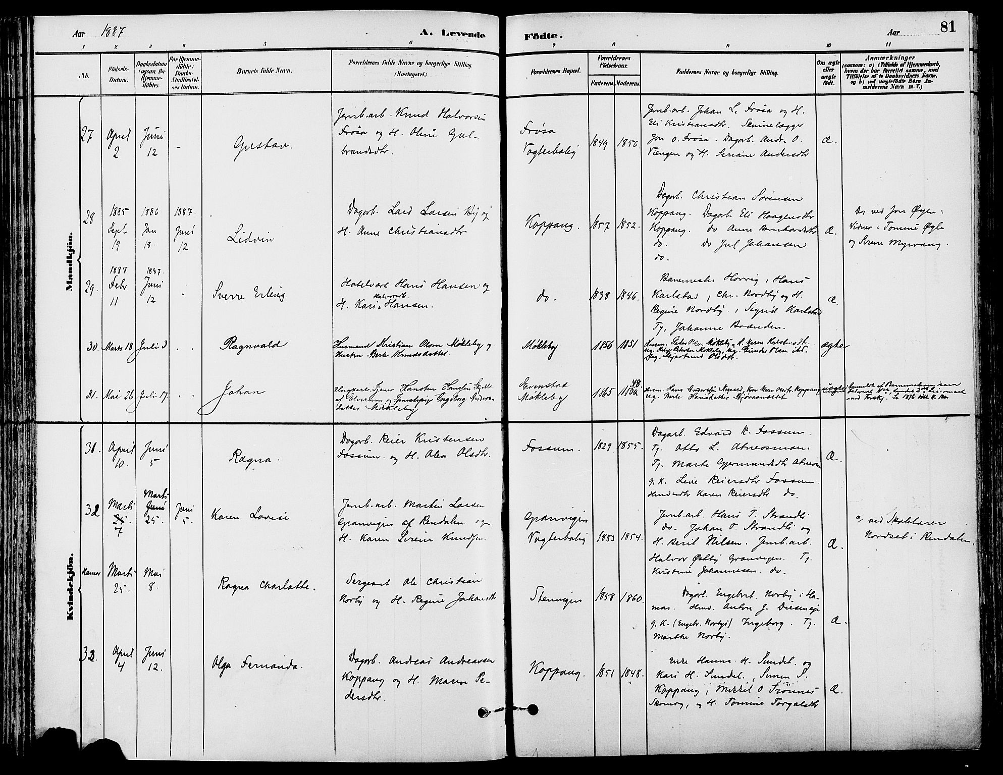 Stor-Elvdal prestekontor, SAH/PREST-052/H/Ha/Haa/L0002: Parish register (official) no. 2, 1882-1907, p. 81