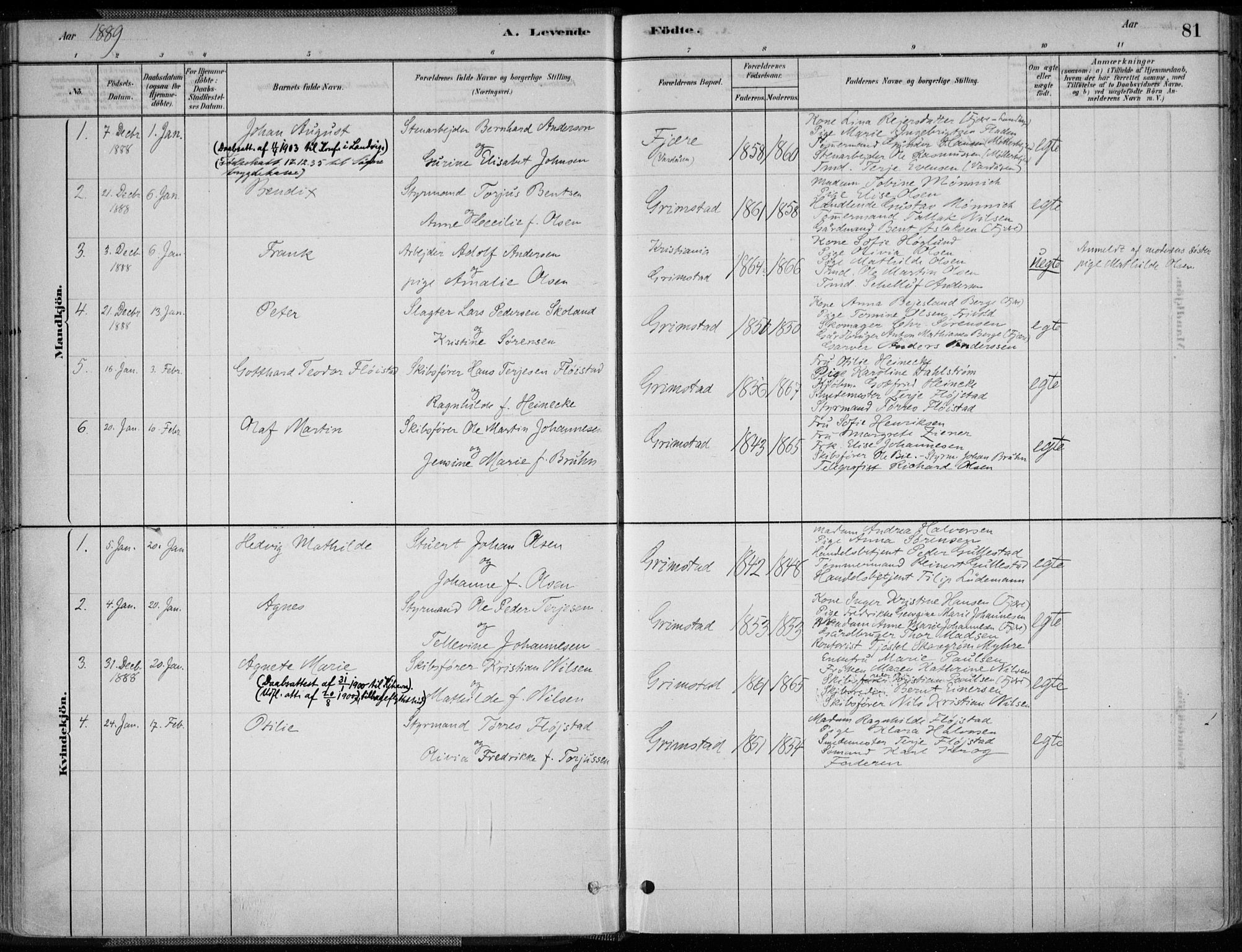 Grimstad sokneprestkontor, AV/SAK-1111-0017/F/Fa/L0003: Parish register (official) no. A 2, 1882-1912, p. 81