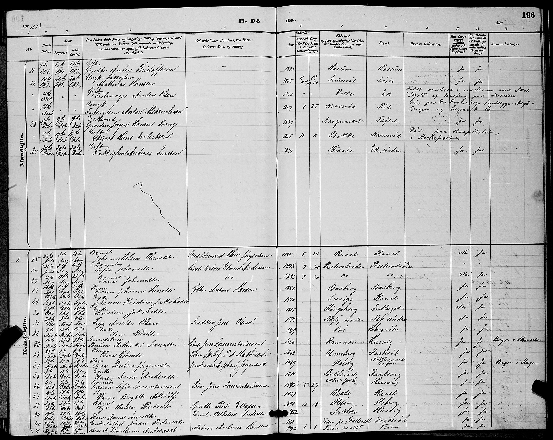 Sem kirkebøker, SAKO/A-5/G/Gb/L0002: Parish register (copy) no. II 2, 1886-1899, p. 196