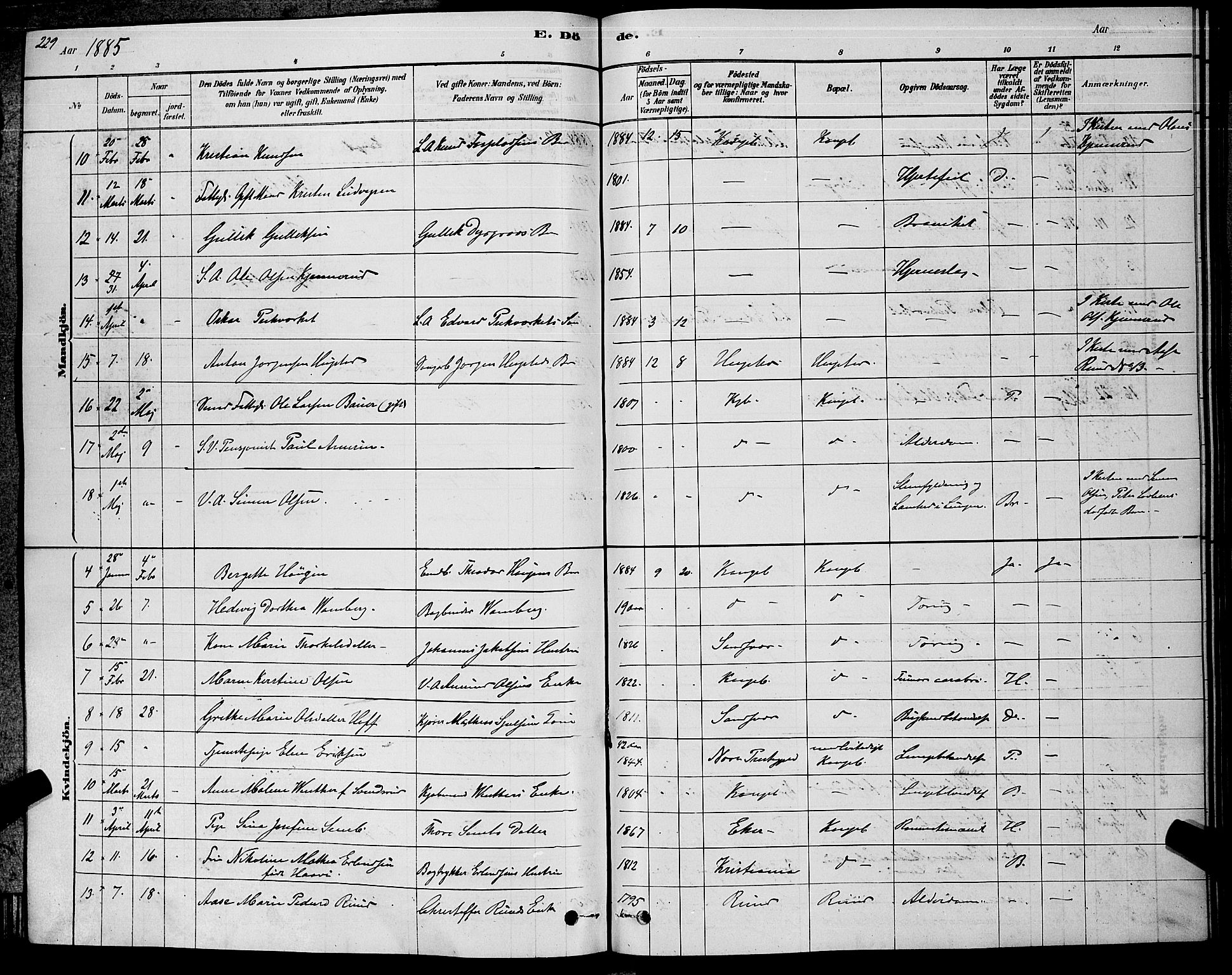 Kongsberg kirkebøker, SAKO/A-22/G/Ga/L0005: Parish register (copy) no. 5, 1878-1889, p. 229