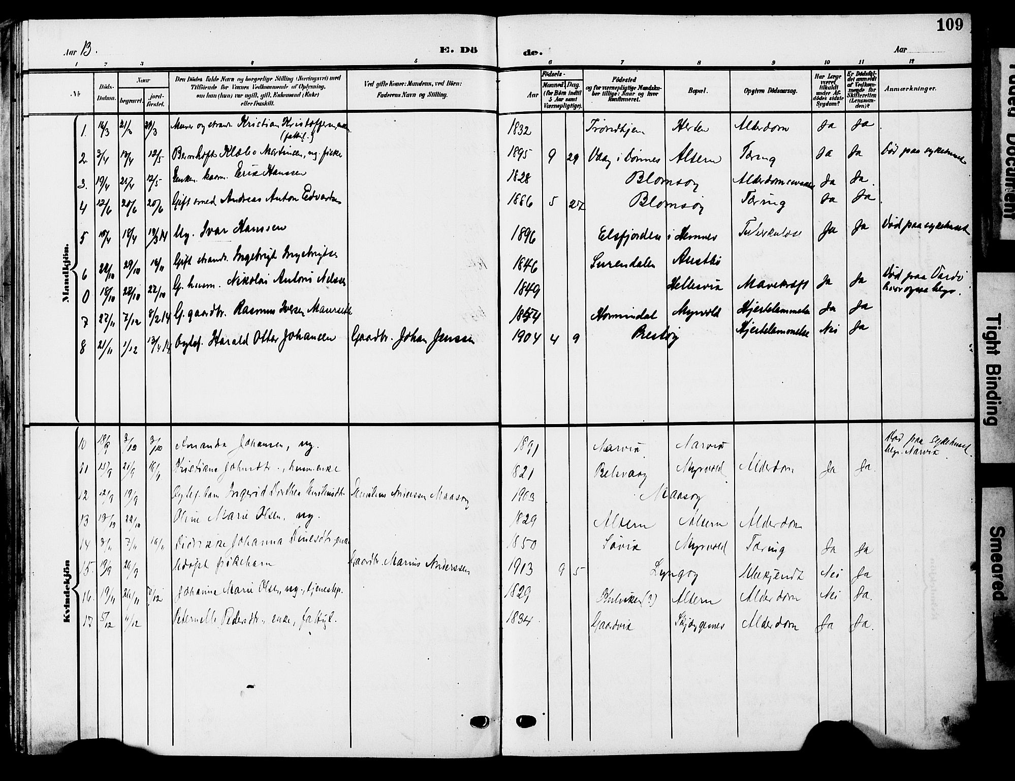 Ministerialprotokoller, klokkerbøker og fødselsregistre - Nordland, AV/SAT-A-1459/830/L0464: Parish register (copy) no. 830C06, 1906-1925, p. 109