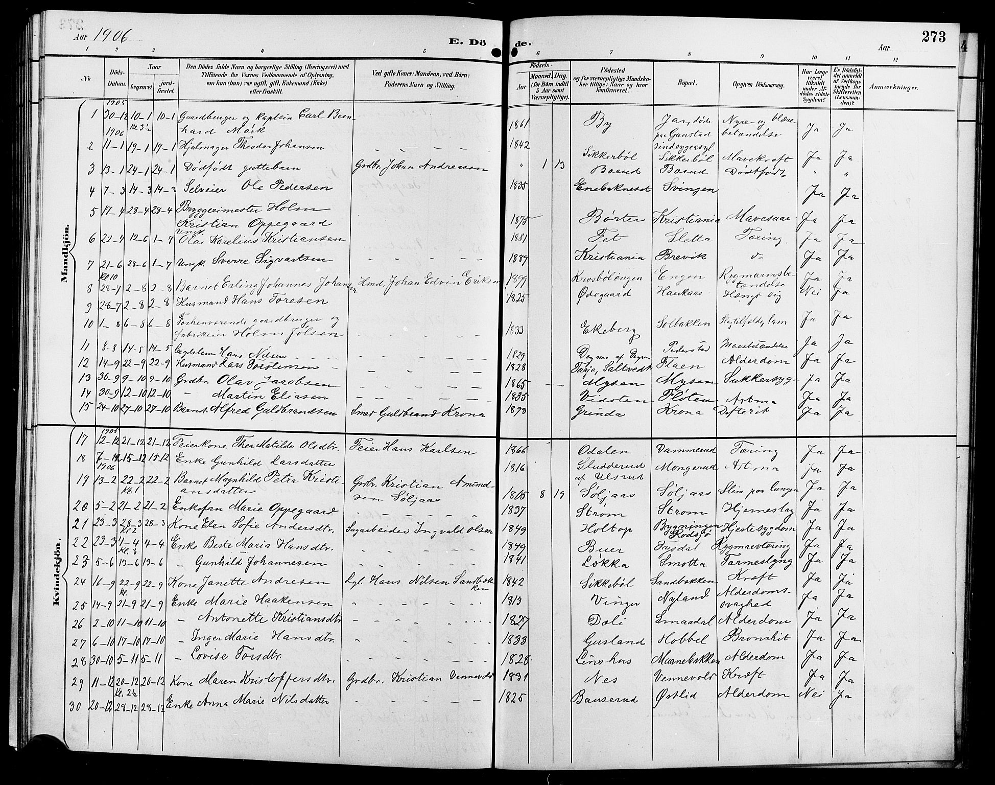 Enebakk prestekontor Kirkebøker, SAO/A-10171c/G/Ga/L0006: Parish register (copy) no. I 6, 1889-1911, p. 273