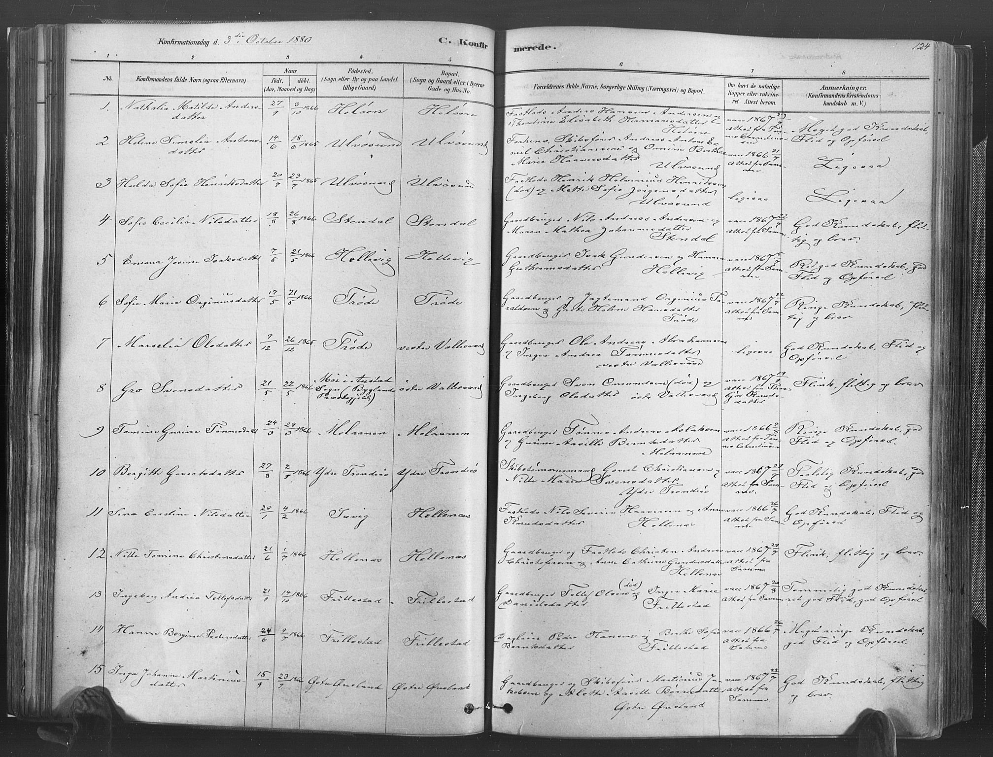 Høvåg sokneprestkontor, SAK/1111-0025/F/Fa/L0005: Parish register (official) no. A 5, 1878-1893, p. 124