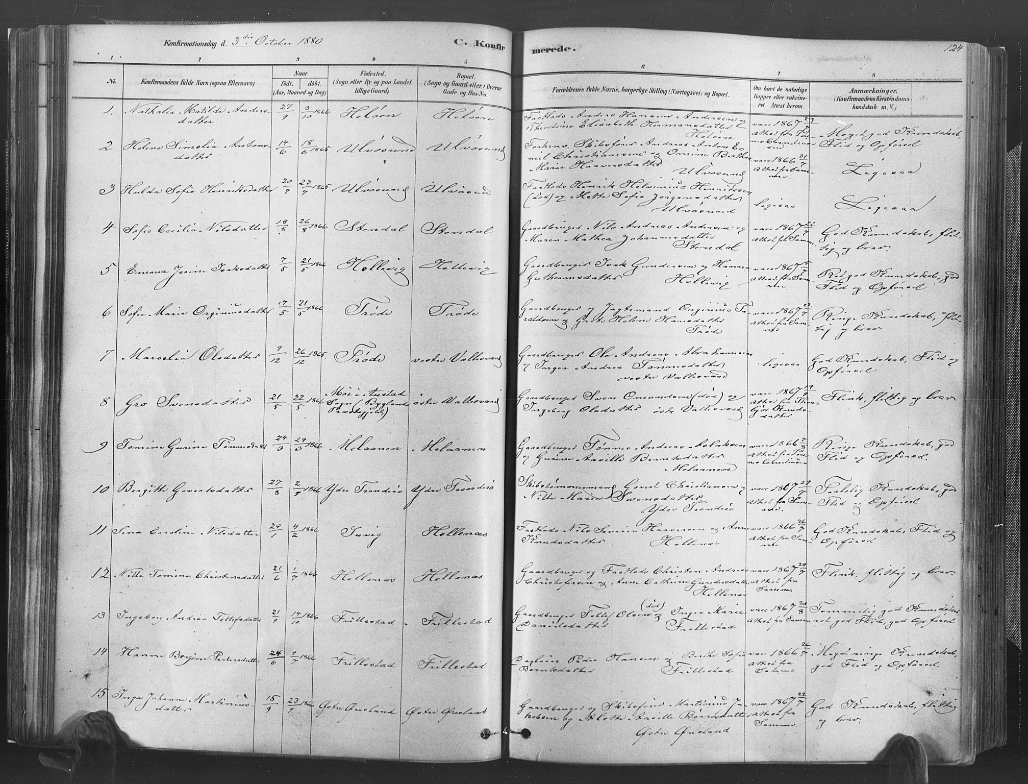 Høvåg sokneprestkontor, AV/SAK-1111-0025/F/Fa/L0005: Parish register (official) no. A 5, 1878-1893, p. 124