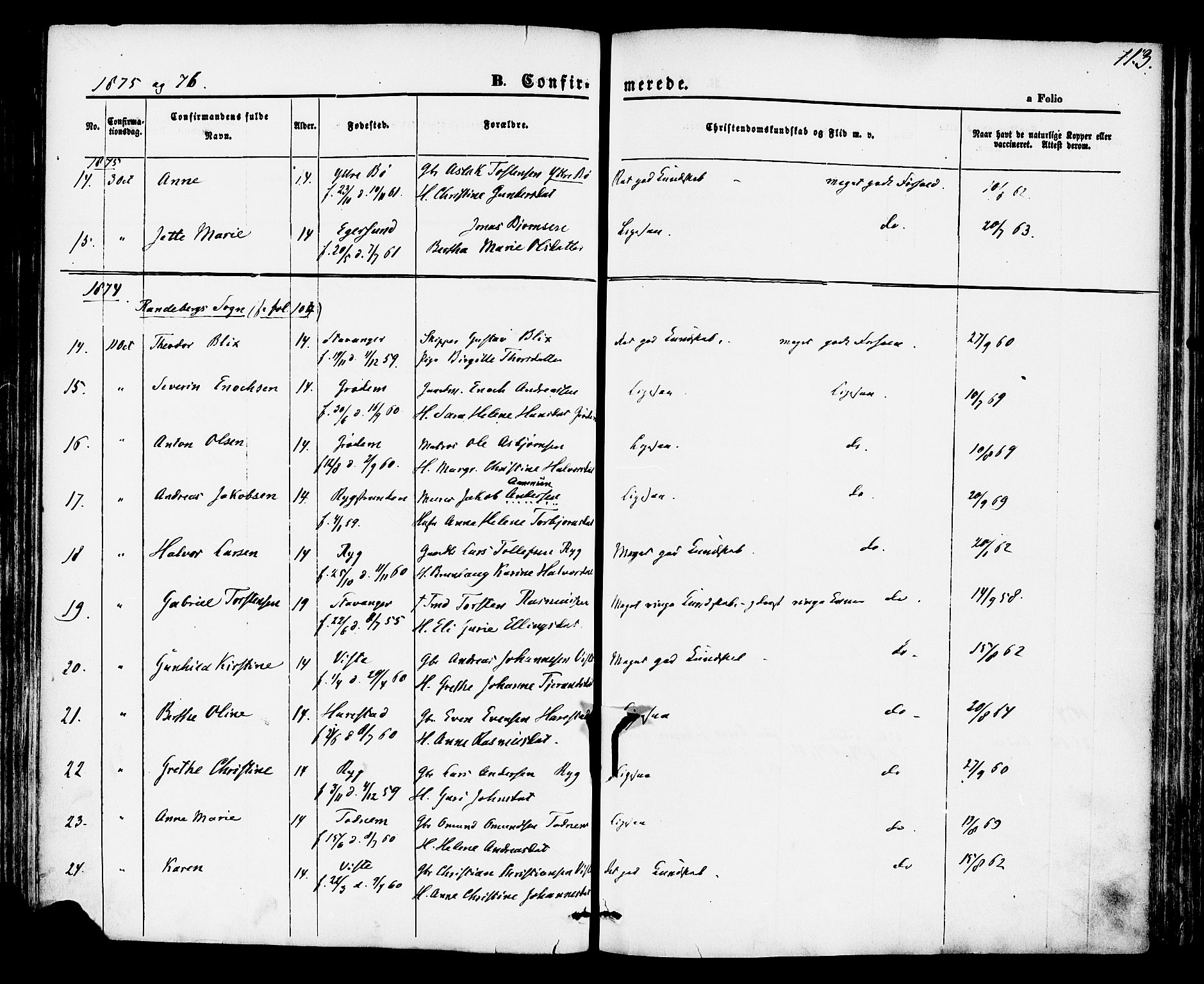 Hetland sokneprestkontor, AV/SAST-A-101826/30/30BA/L0004: Parish register (official) no. A 4, 1862-1881, p. 113