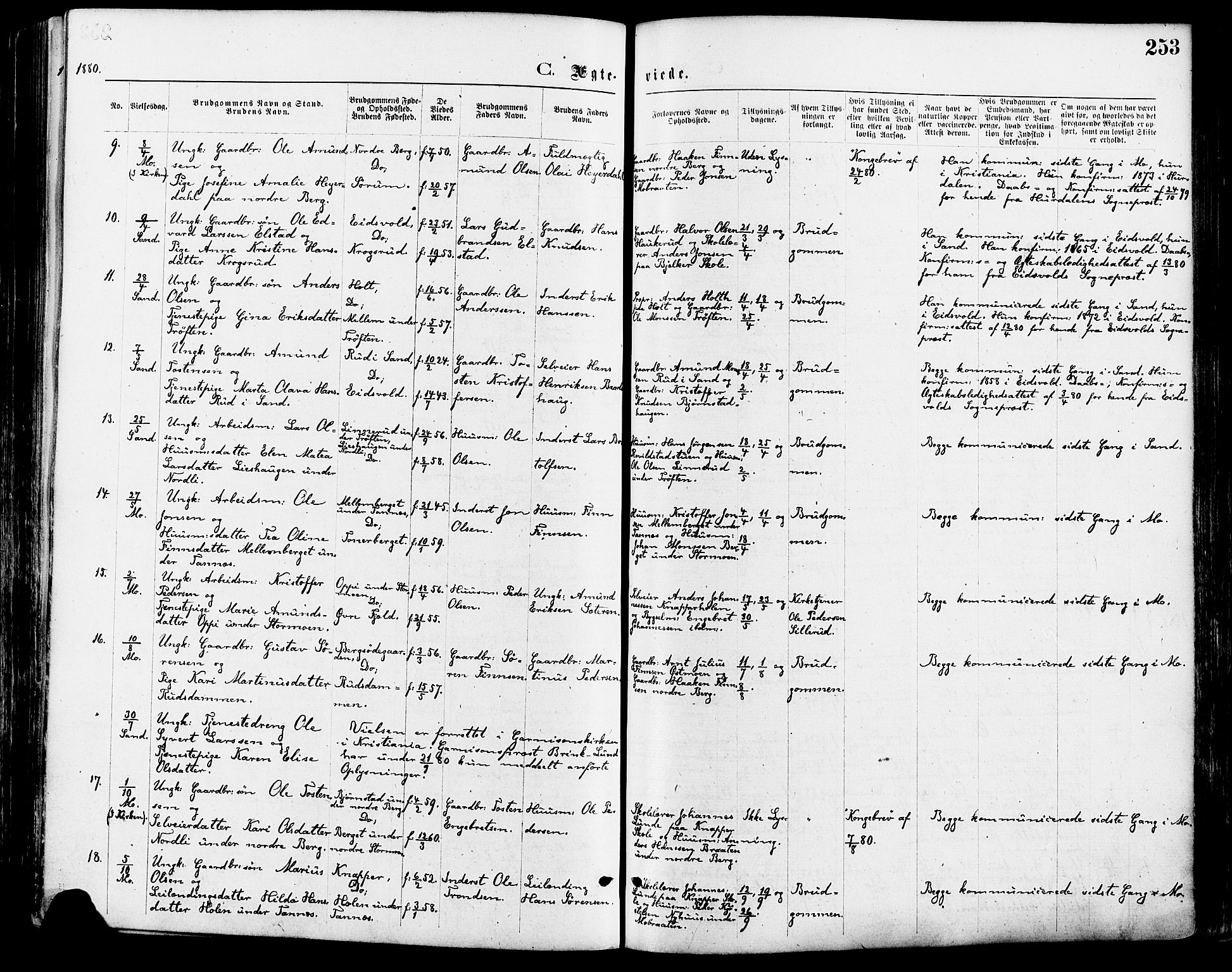 Nord-Odal prestekontor, AV/SAH-PREST-032/H/Ha/Haa/L0005: Parish register (official) no. 5, 1874-1885, p. 253