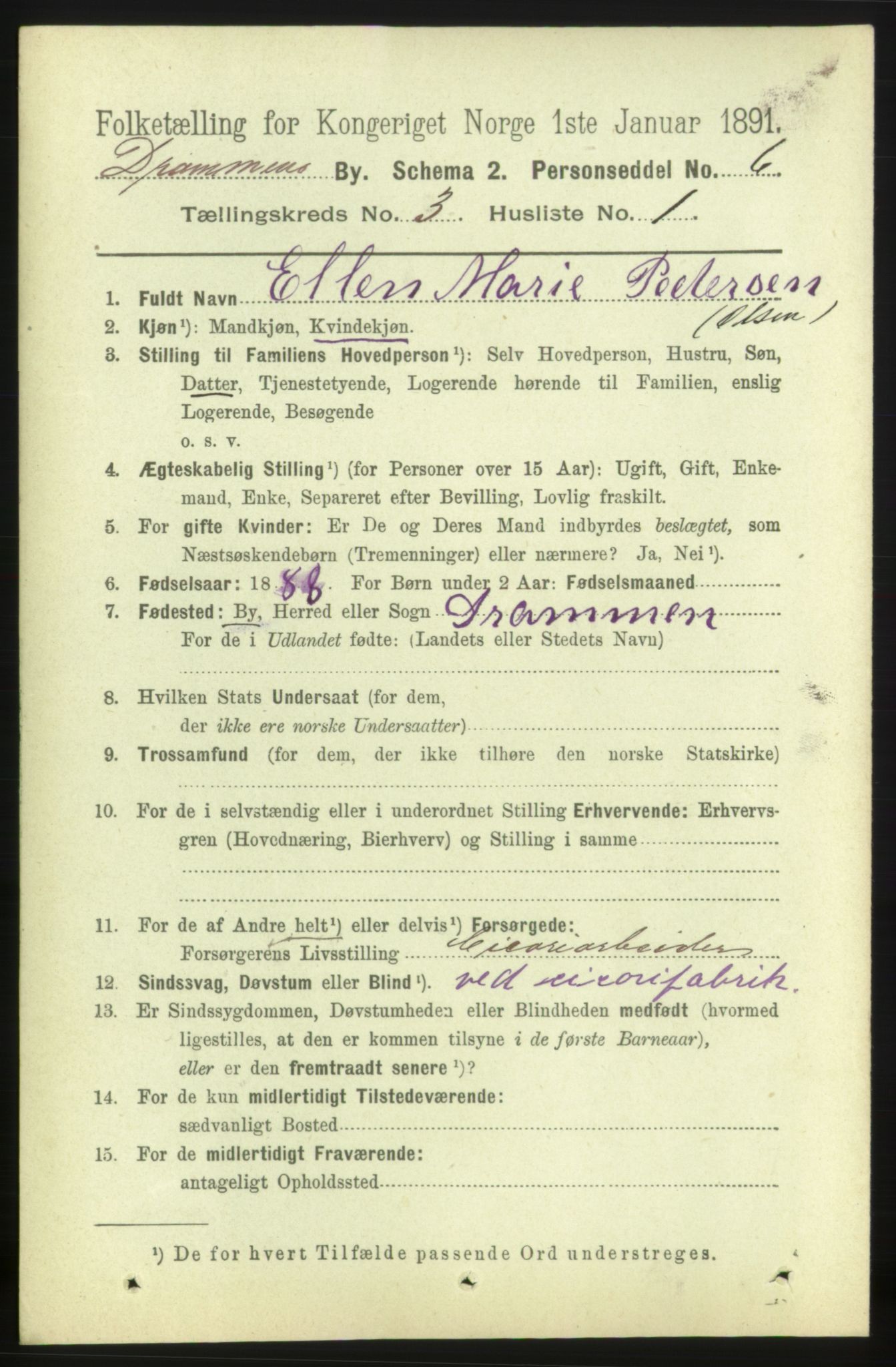 RA, 1891 census for 0602 Drammen, 1891, p. 4911