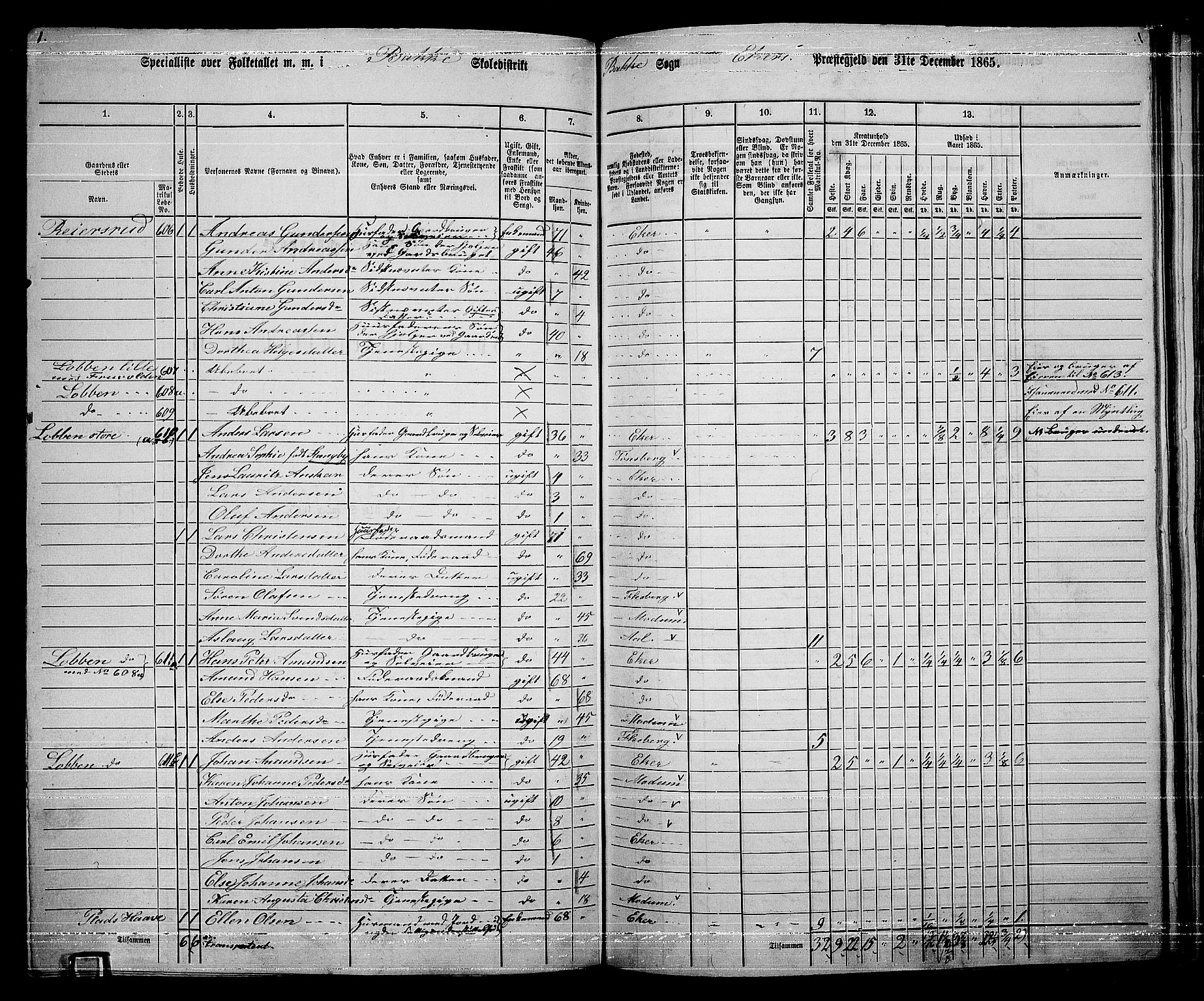 RA, 1865 census for Eiker, 1865, p. 436