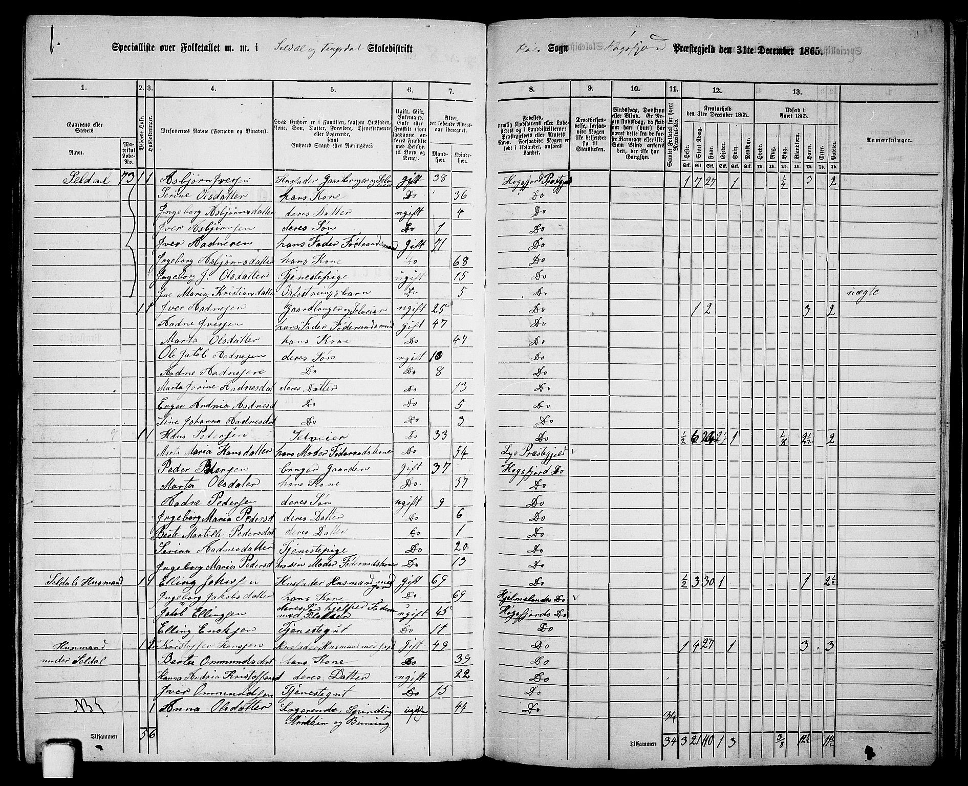 RA, 1865 census for Høgsfjord, 1865, p. 118