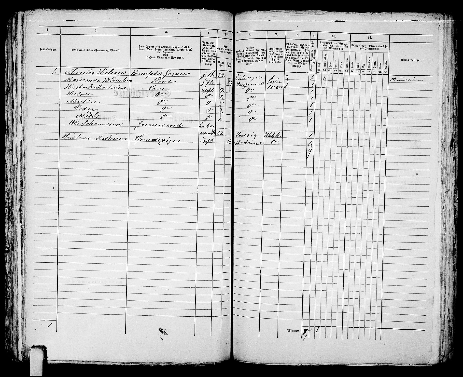 RA, 1865 census for Porsgrunn, 1865, p. 665