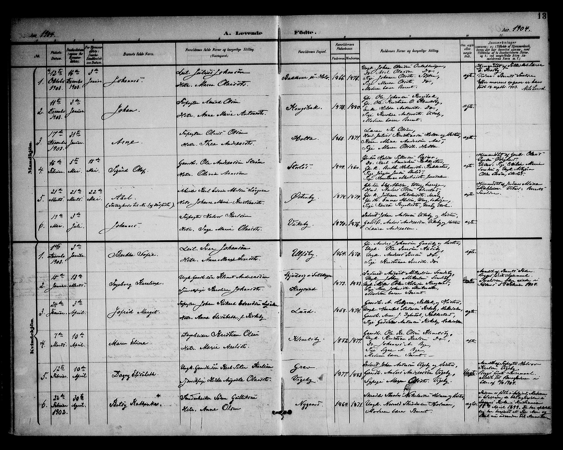 Rødenes prestekontor Kirkebøker, SAO/A-2005/F/Fa/L0011: Parish register (official) no. I 11, 1901-1910, p. 13