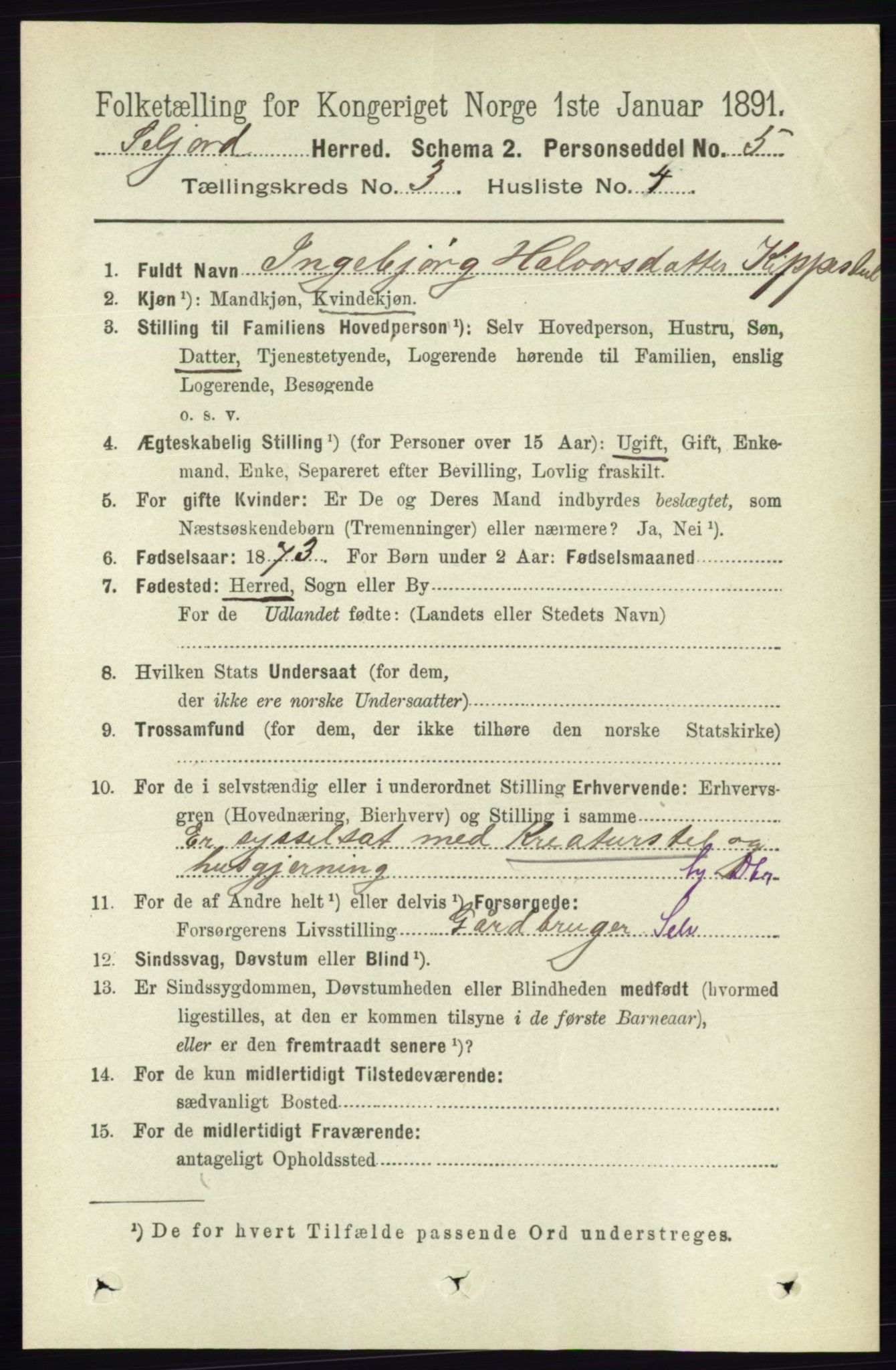 RA, 1891 census for 0828 Seljord, 1891, p. 996