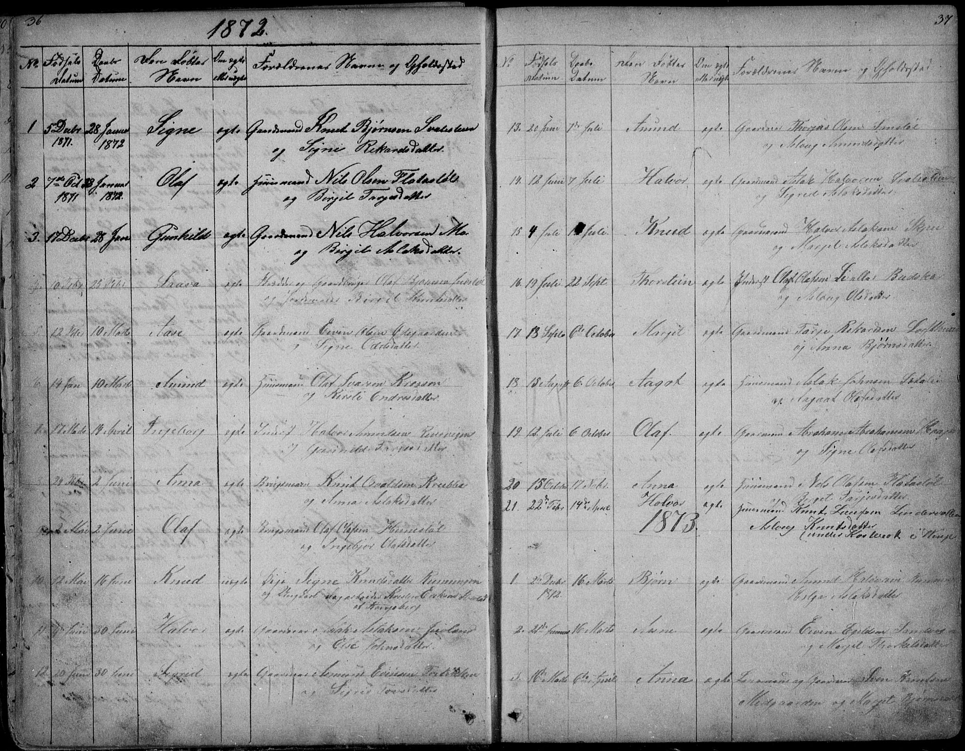 Rauland kirkebøker, AV/SAKO-A-292/G/Ga/L0002: Parish register (copy) no. I 2, 1849-1935, p. 36-37