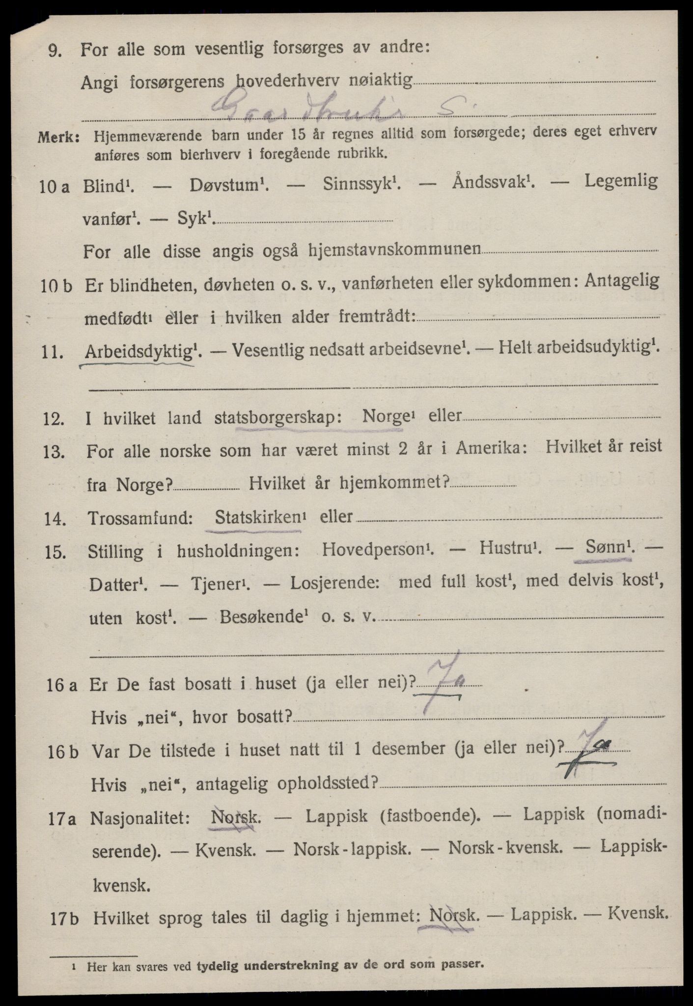 SAT, 1920 census for Strinda, 1920, p. 20253