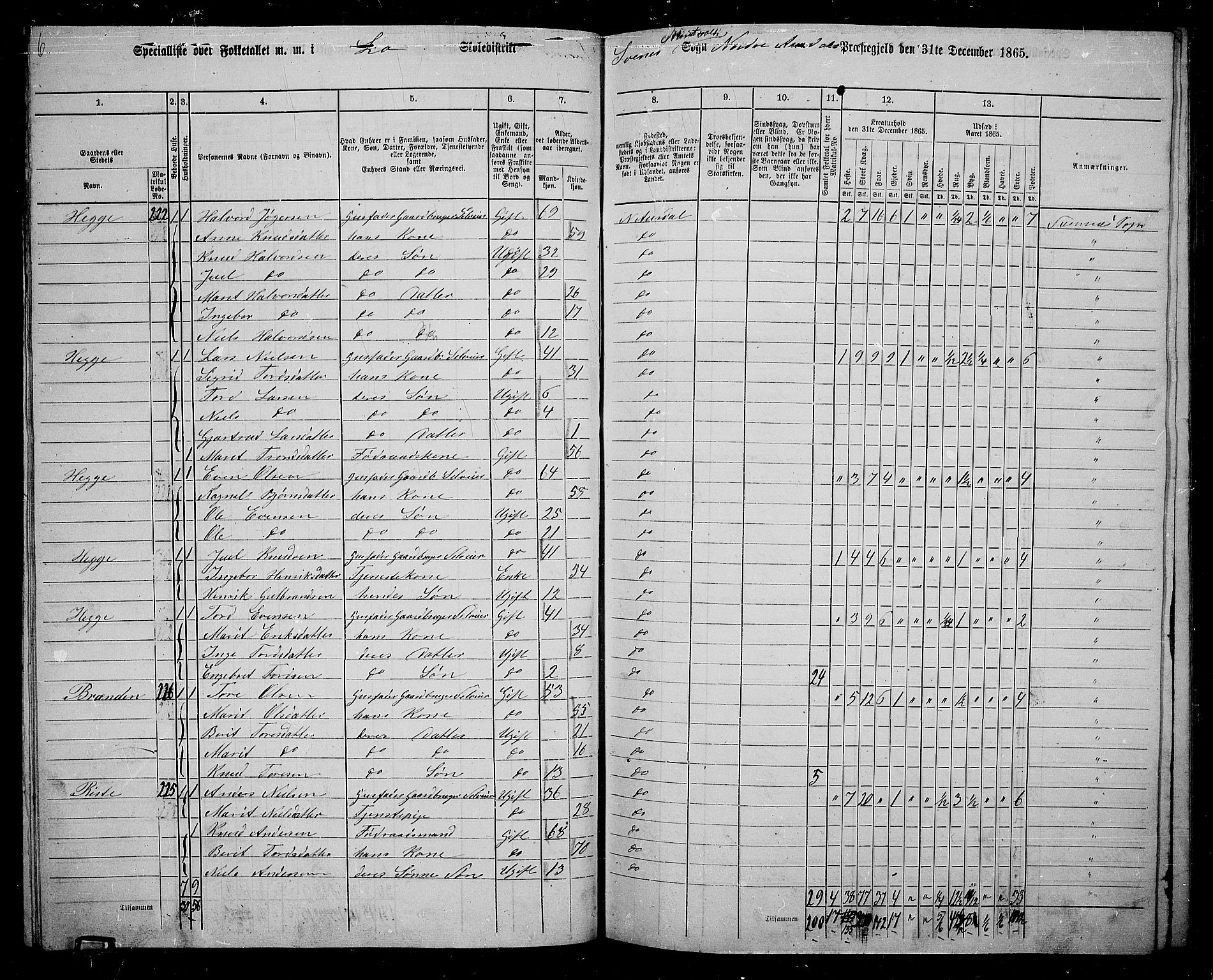 RA, 1865 census for Nord-Aurdal, 1865, p. 101