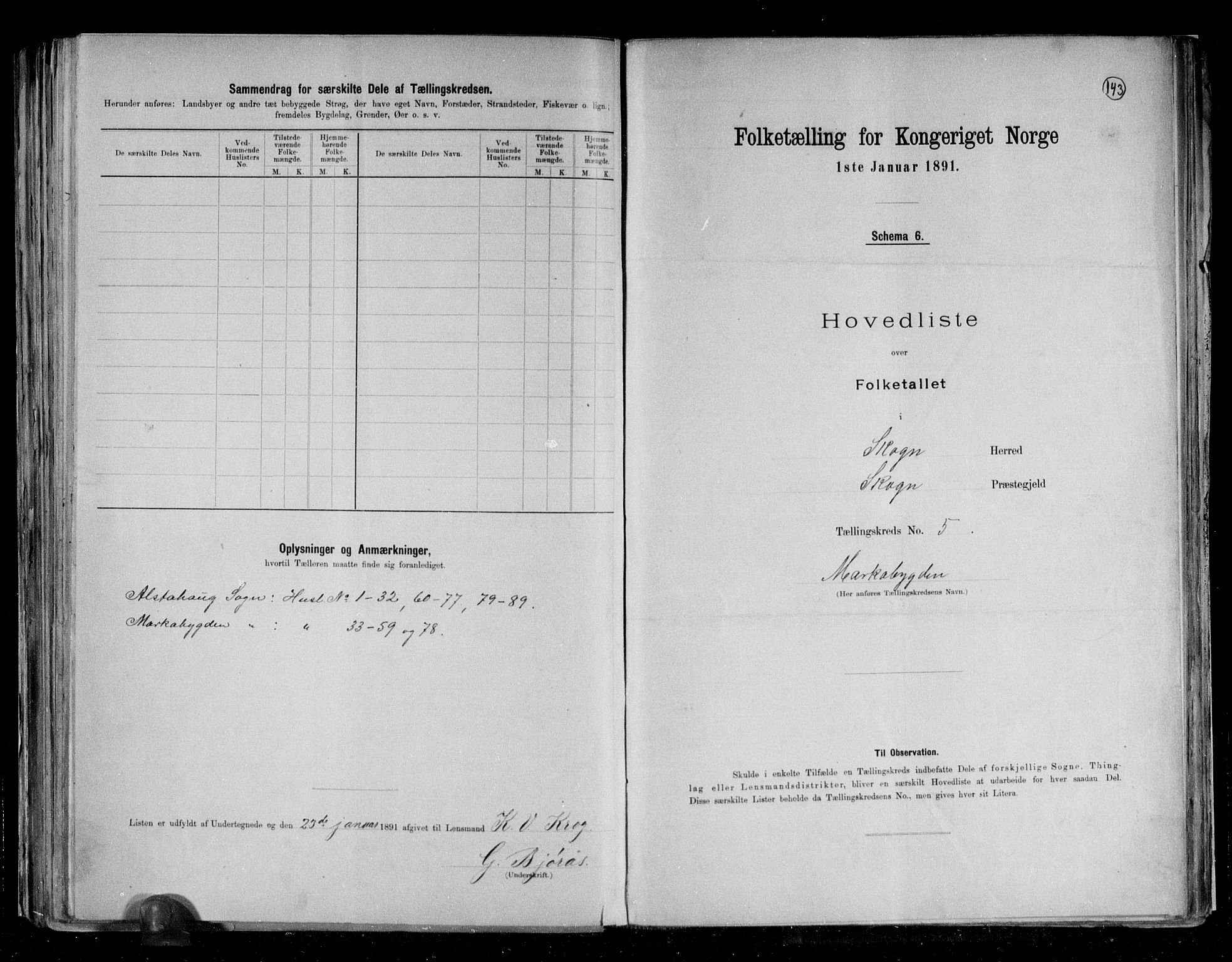 RA, 1891 census for 1719 Skogn, 1891, p. 17