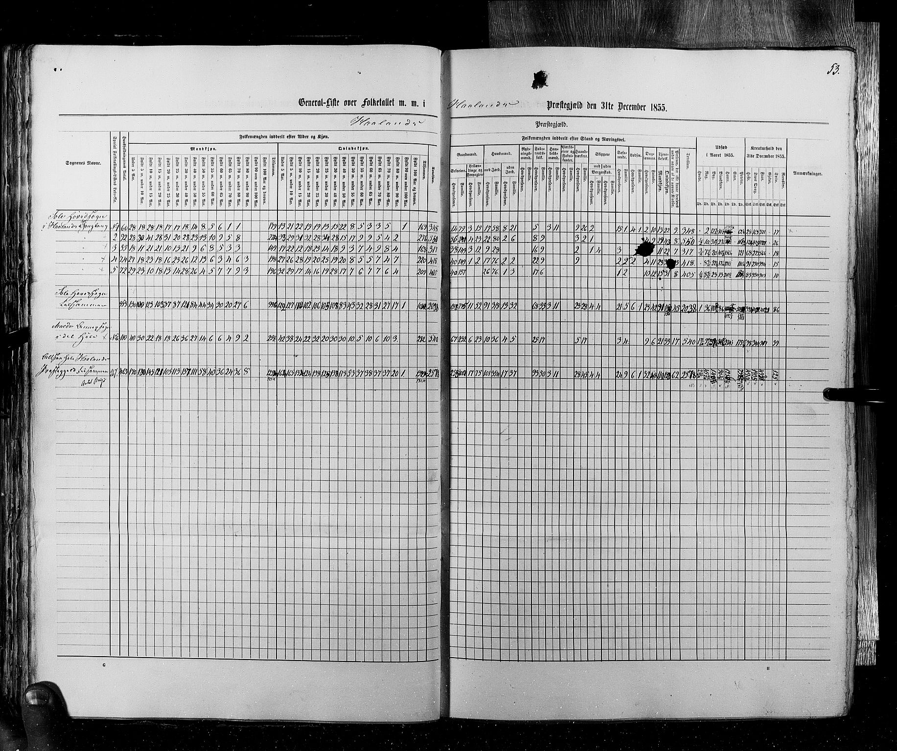 RA, Census 1855, vol. 4: Stavanger amt og Søndre Bergenhus amt, 1855, p. 53