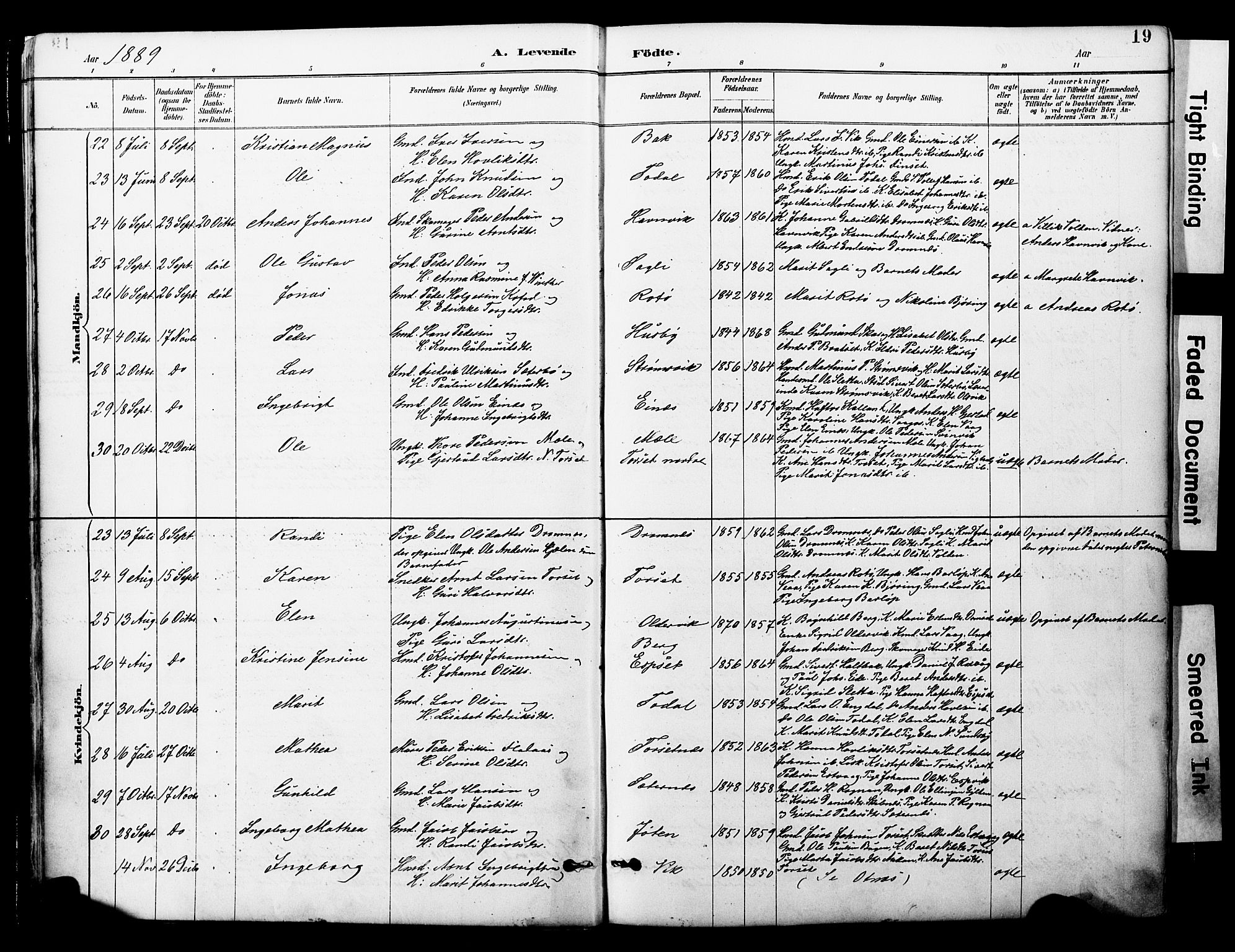 Ministerialprotokoller, klokkerbøker og fødselsregistre - Møre og Romsdal, AV/SAT-A-1454/578/L0907: Parish register (official) no. 578A06, 1887-1904, p. 19