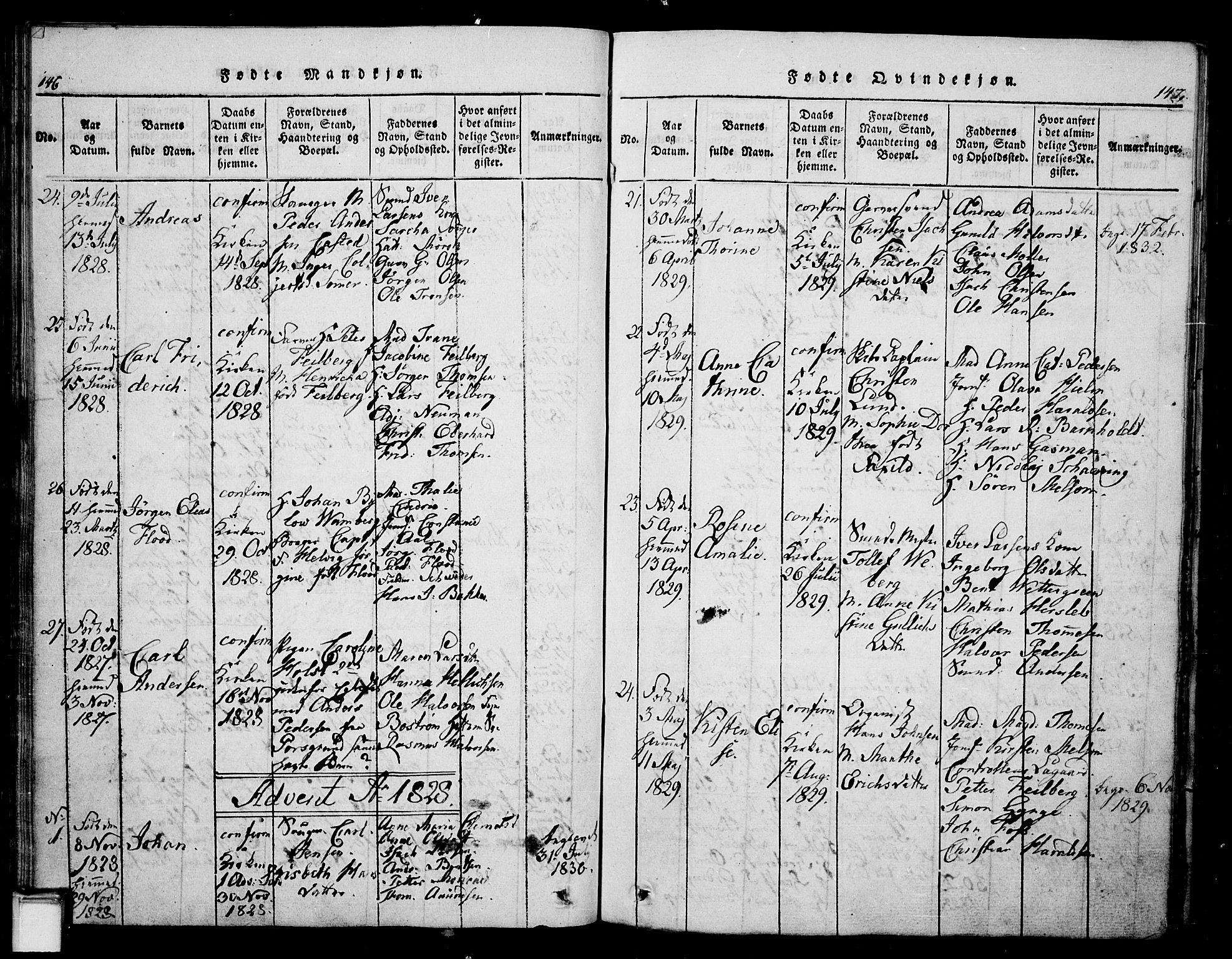 Skien kirkebøker, SAKO/A-302/G/Ga/L0002: Parish register (copy) no. 2, 1814-1842, p. 146-147