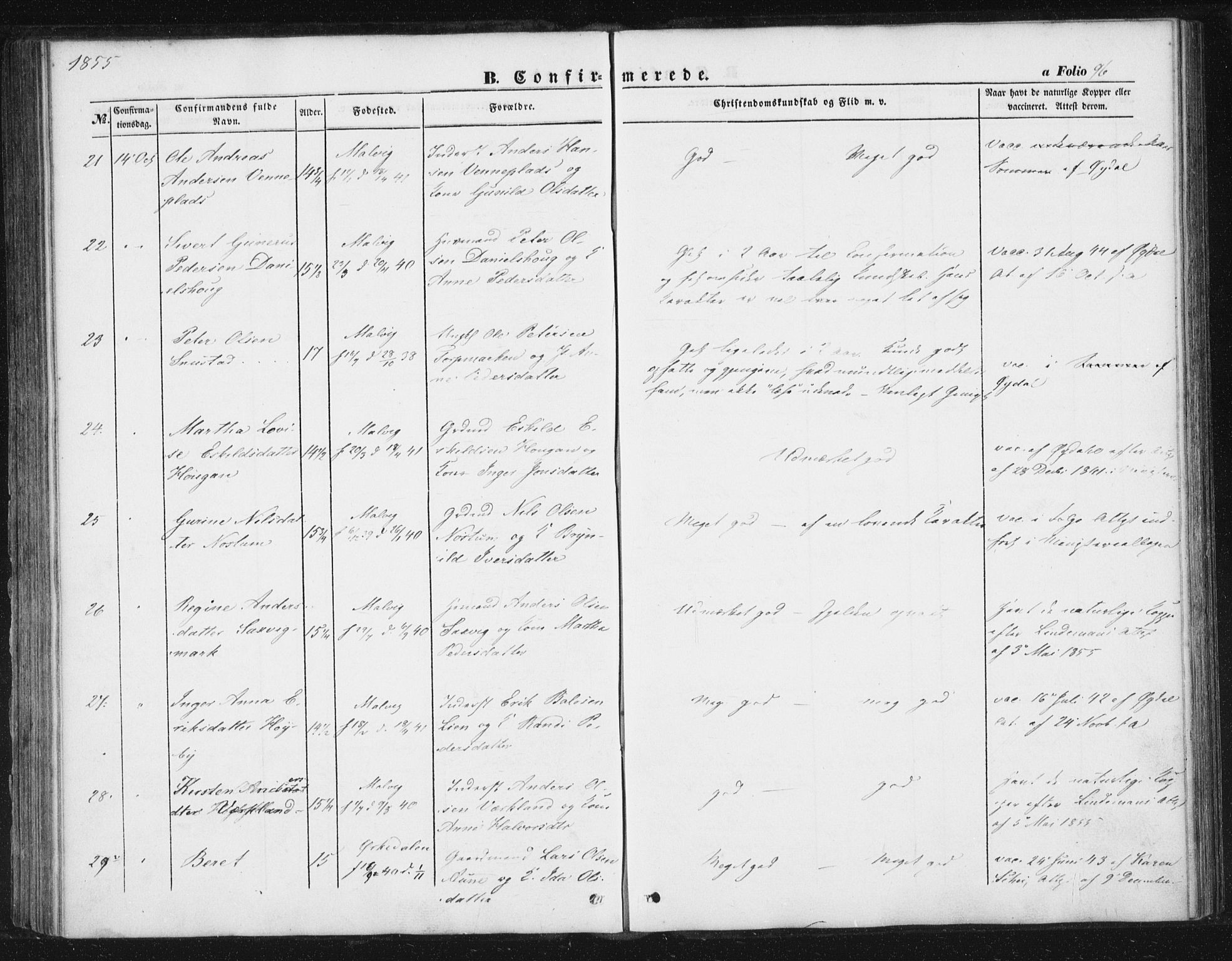 Ministerialprotokoller, klokkerbøker og fødselsregistre - Sør-Trøndelag, AV/SAT-A-1456/616/L0407: Parish register (official) no. 616A04, 1848-1856, p. 96