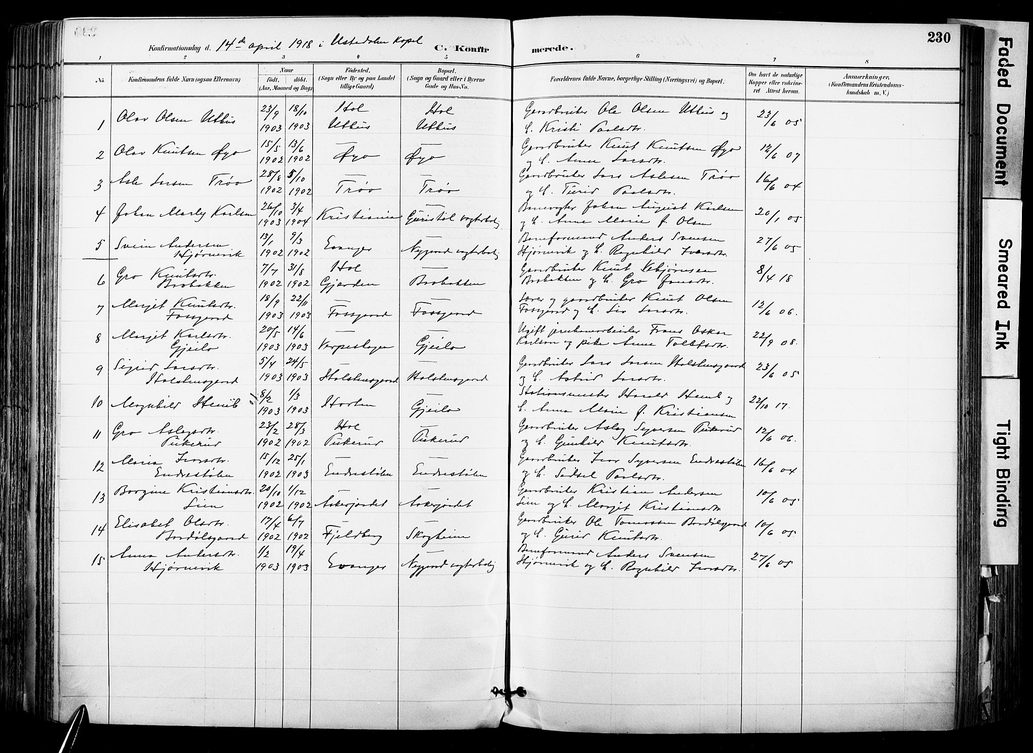 Hol kirkebøker, SAKO/A-227/F/Fa/L0003: Parish register (official) no. I 3, 1887-1918, p. 230